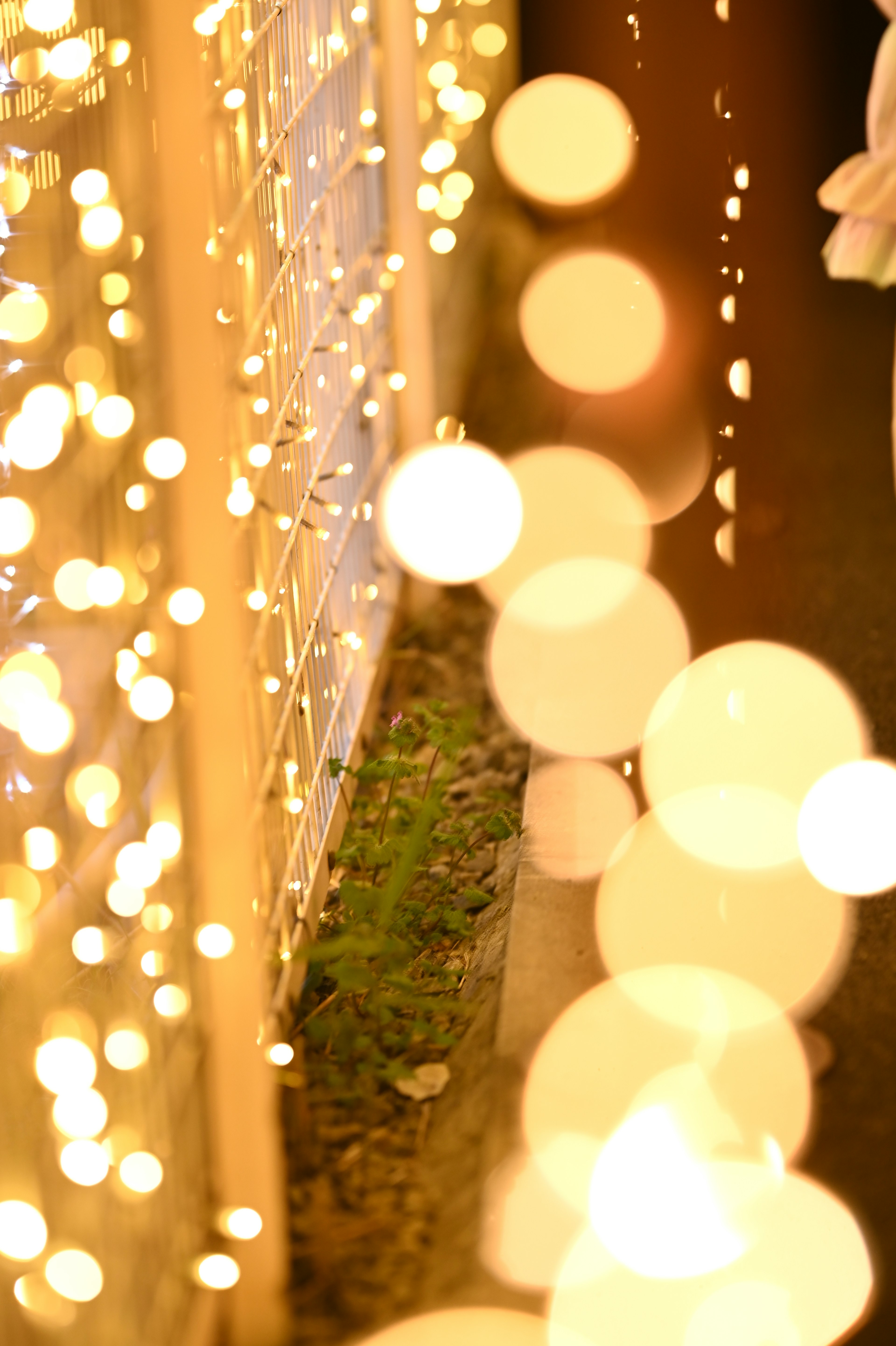 Orbes luminosos decorativos a lo largo de un camino junto a una pared