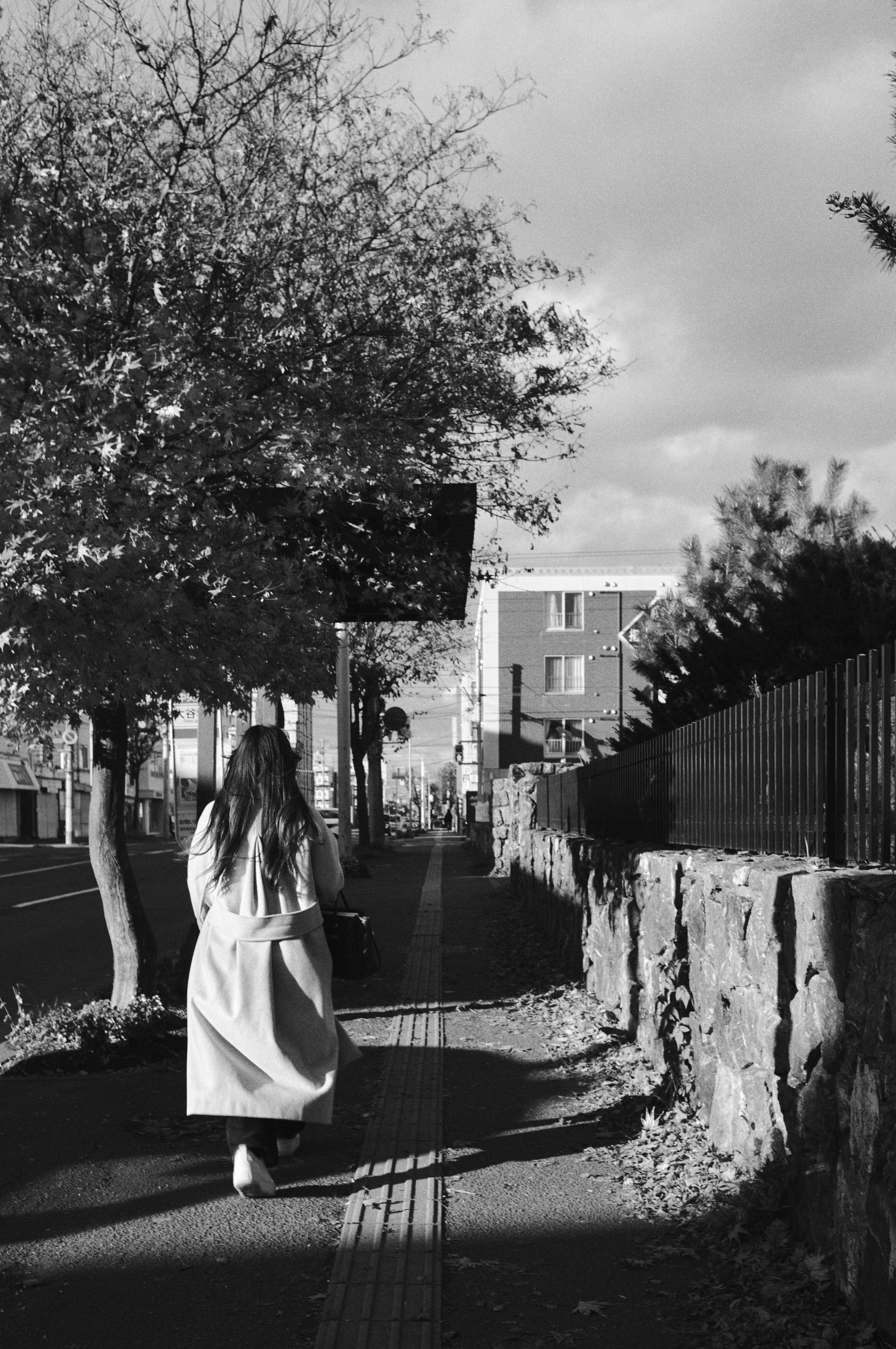 Femme marchant sur une rue en noir et blanc avec une silhouette d'arbre