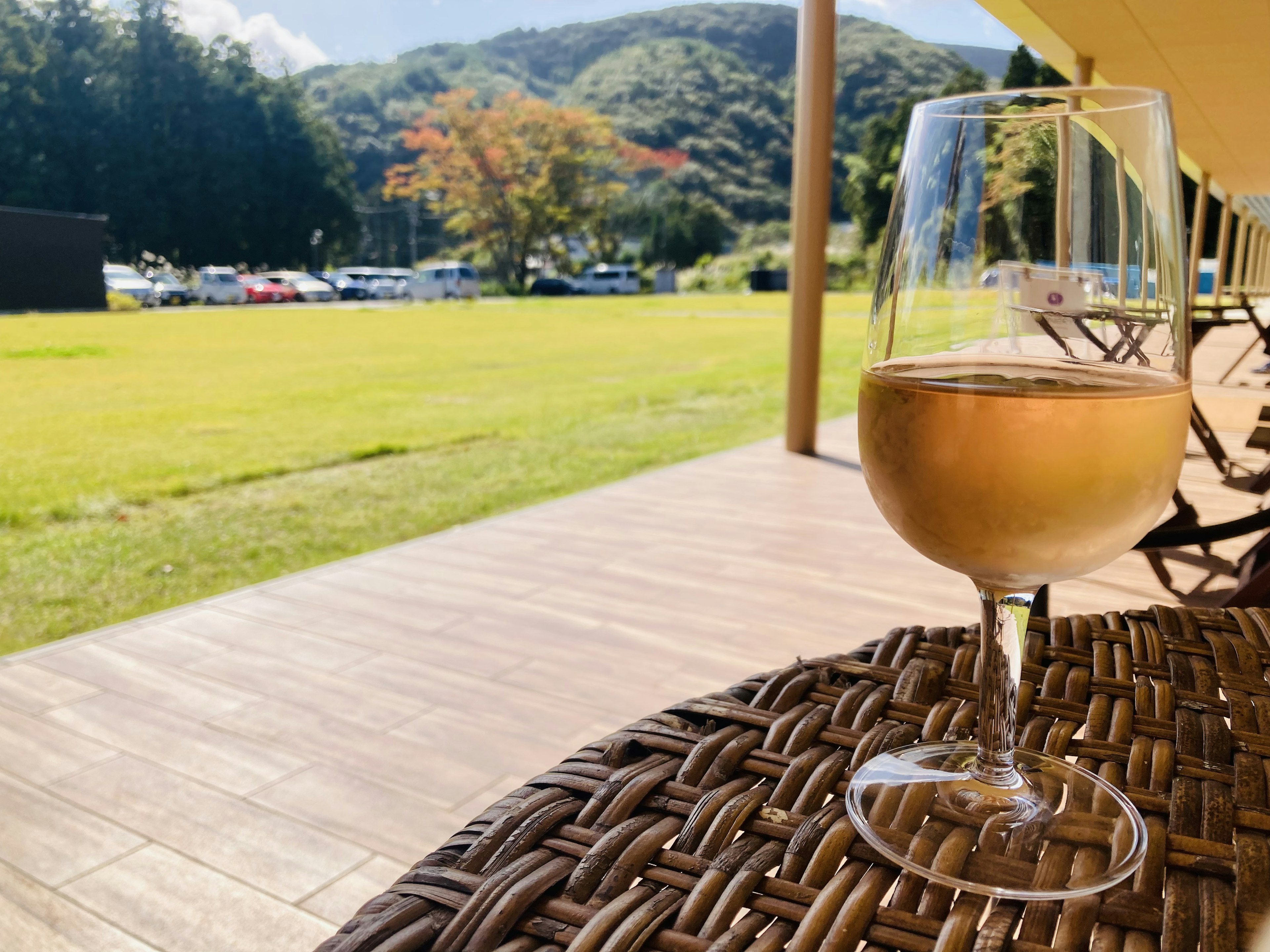 Verre de vin blanc sur une terrasse avec un paysage verdoyant