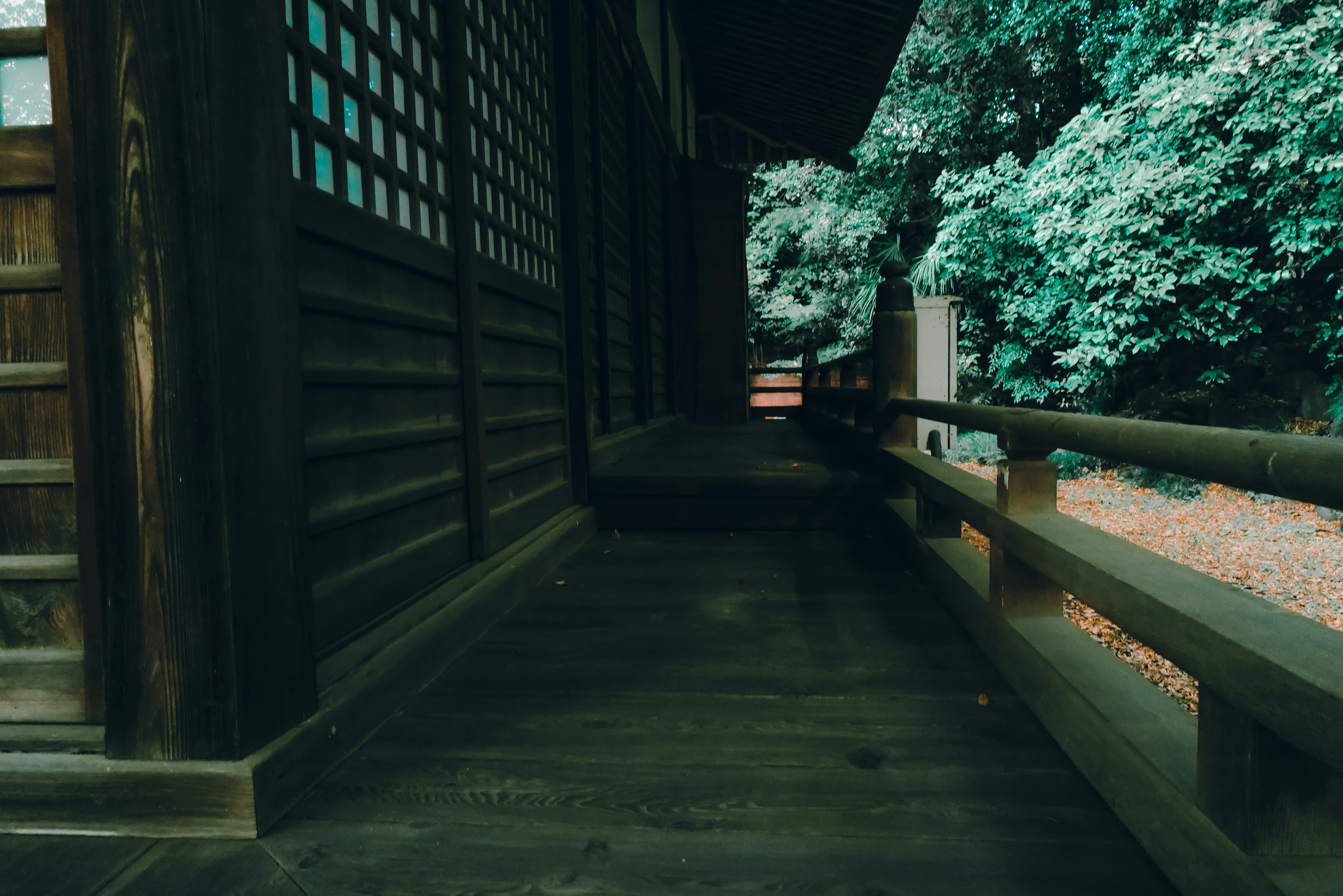 Couloir en bois tranquille avec une verdure luxuriante