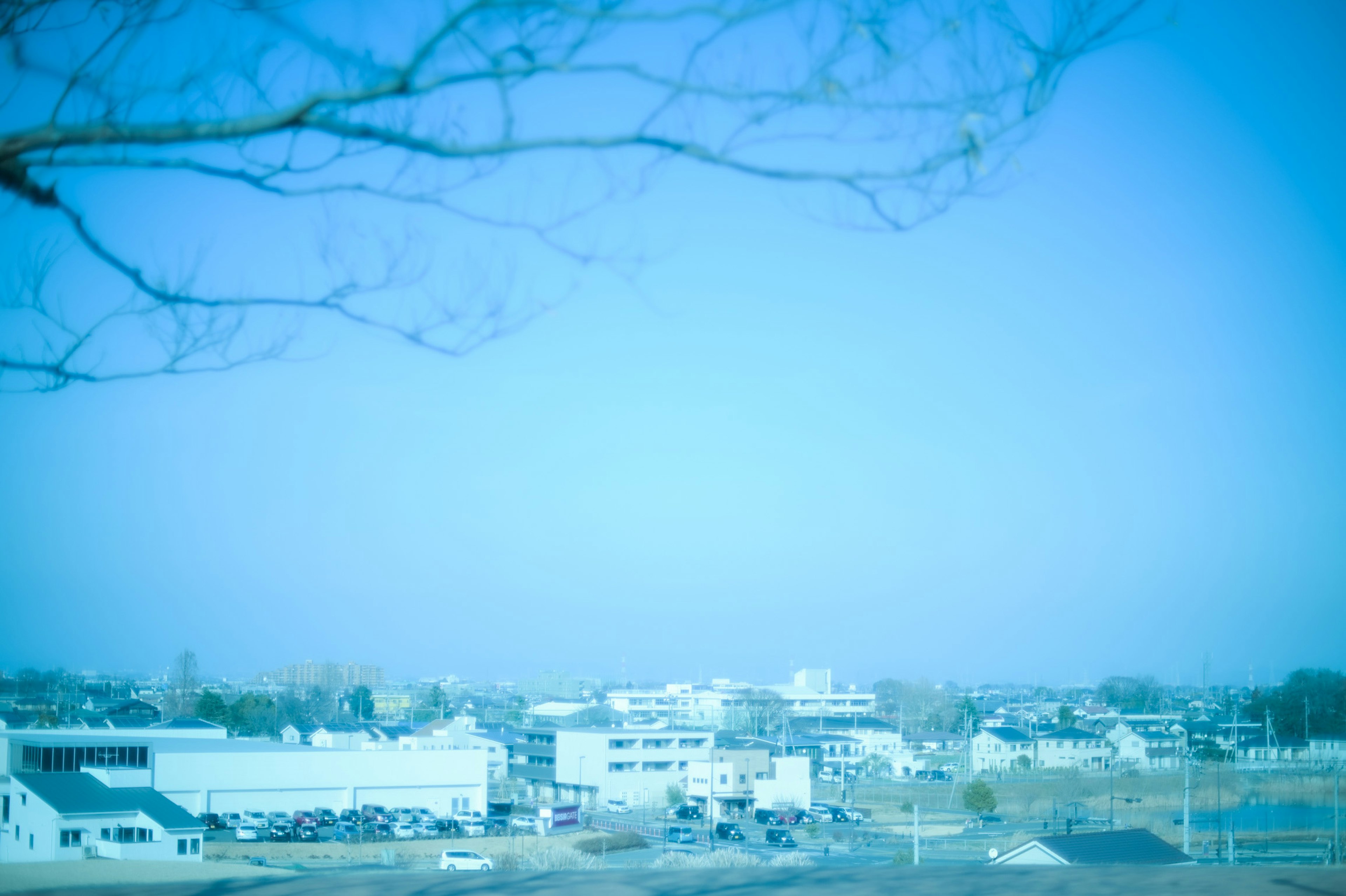 青い空の下に広がる町の風景と木の枝