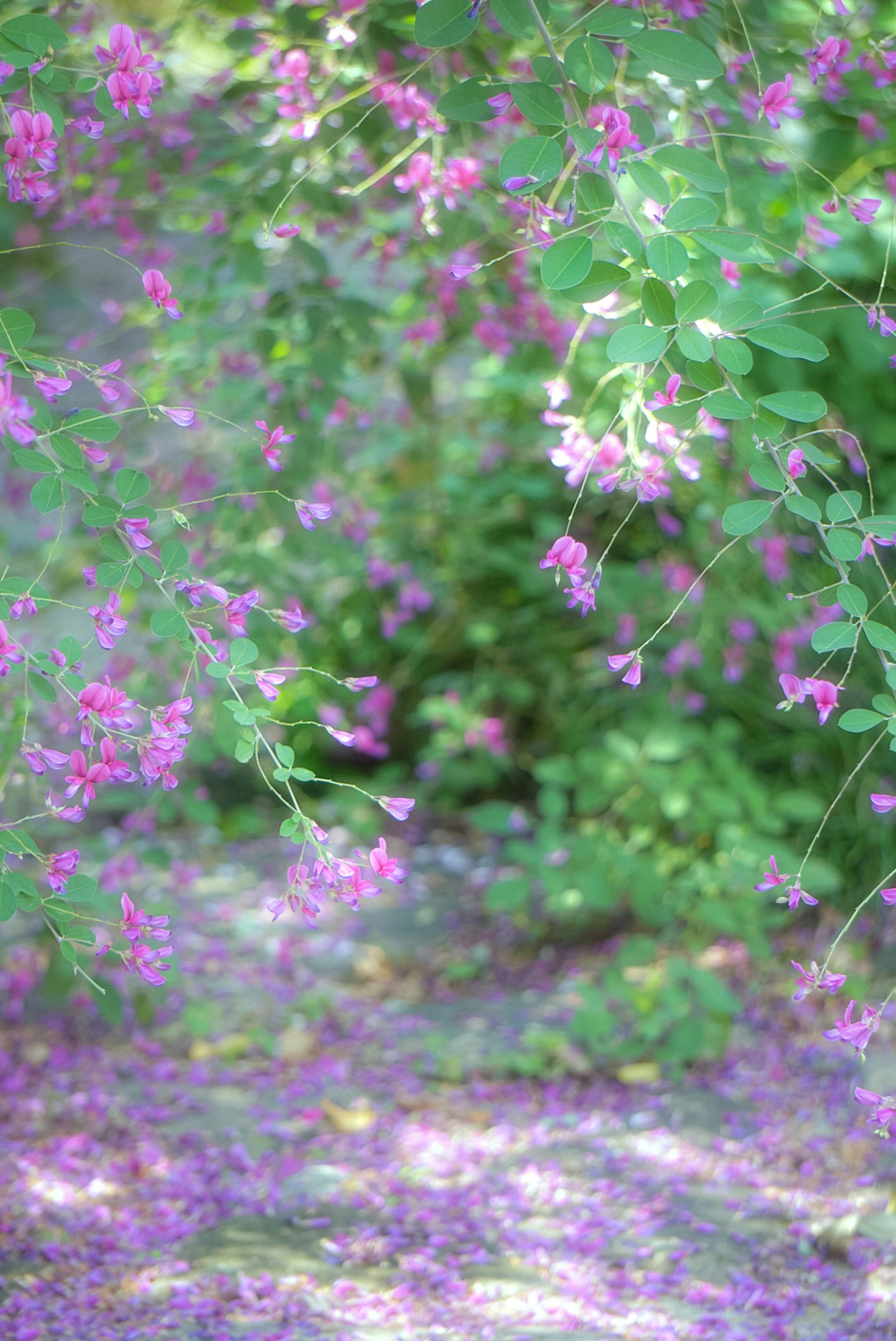 Paesaggio morbido con fiori colorati e sfondo verde lussureggiante