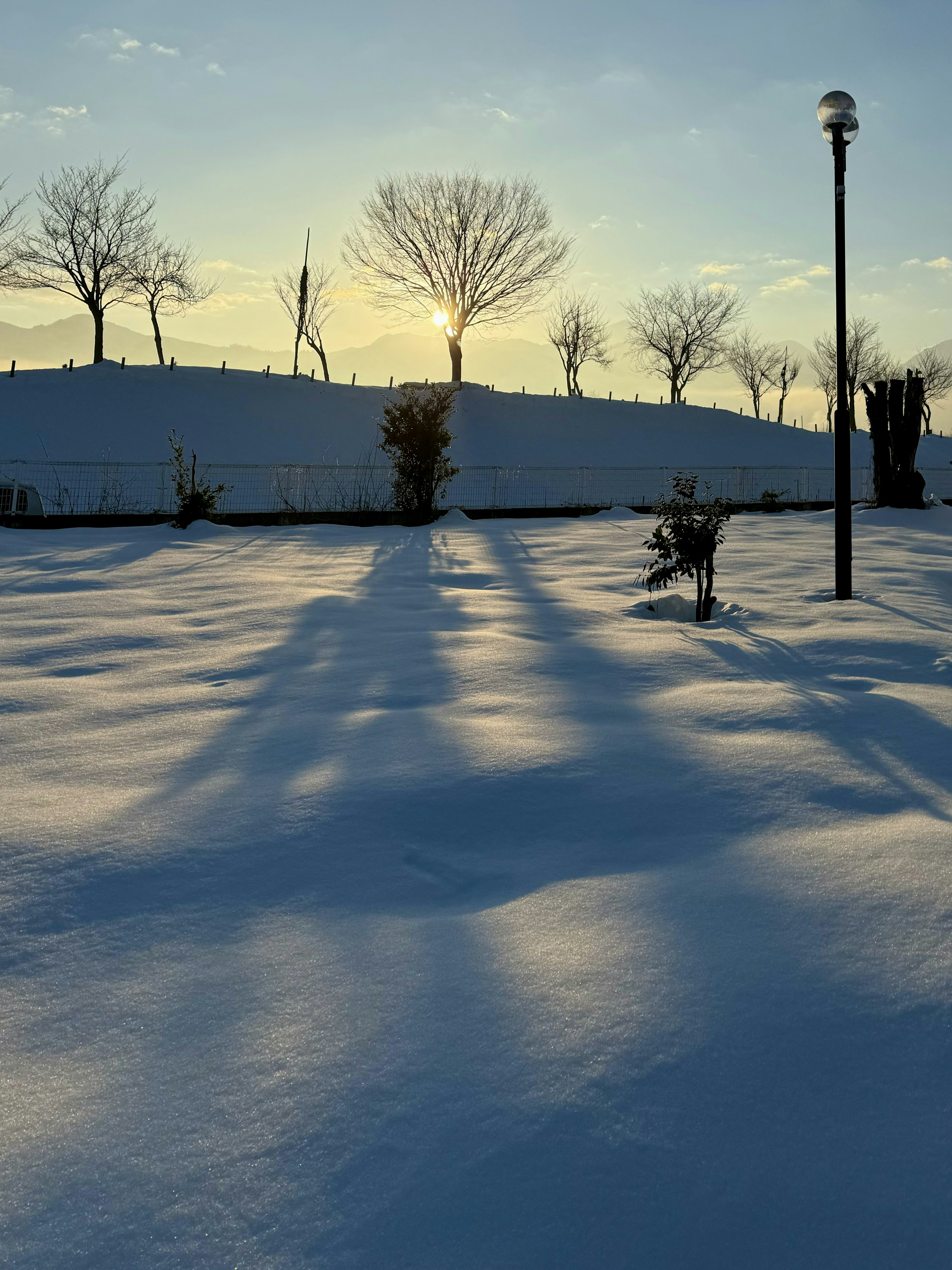 冬季日落映照在雪地上，長長的陰影