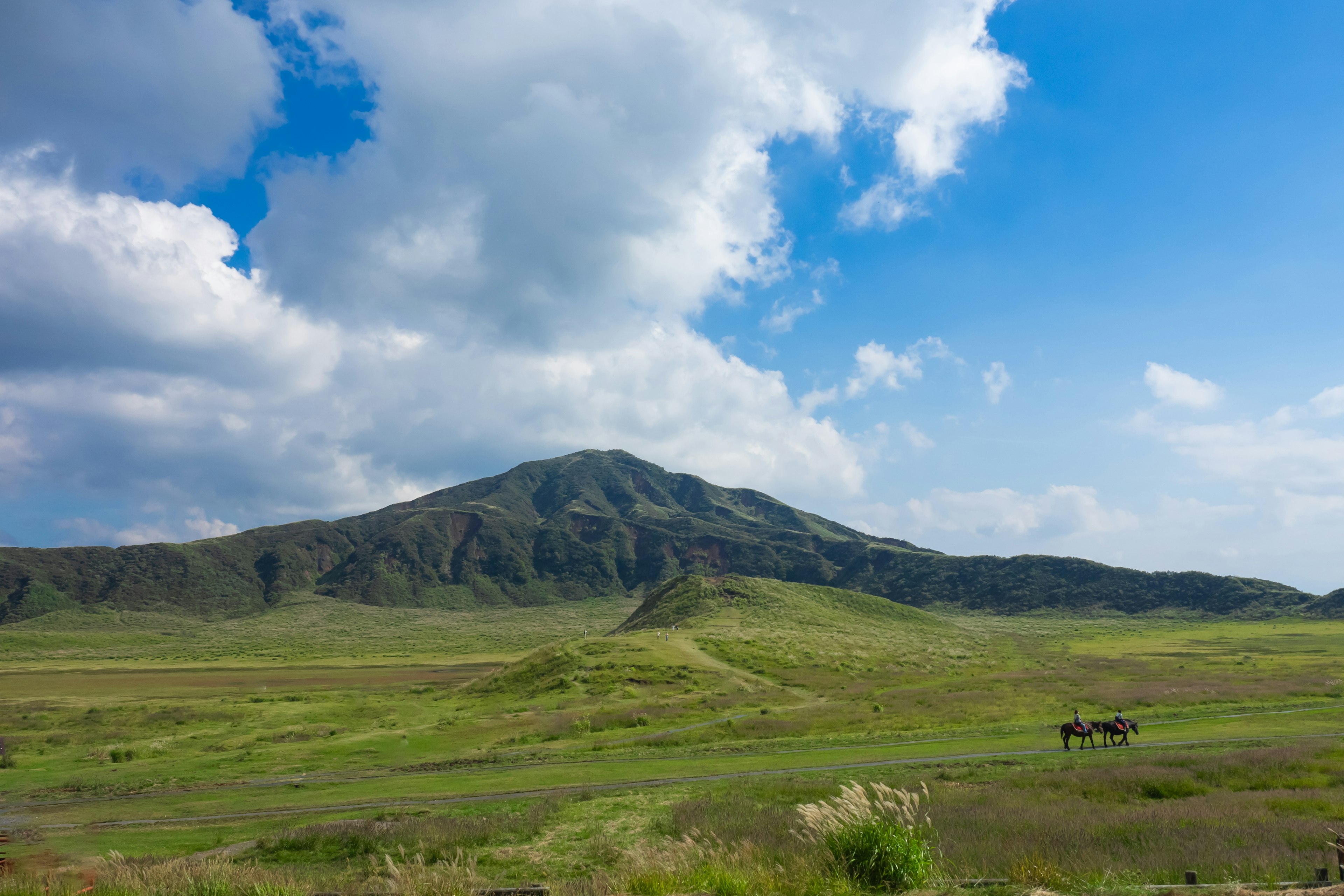 Vast green grassland under a blue sky with a prominent mountain