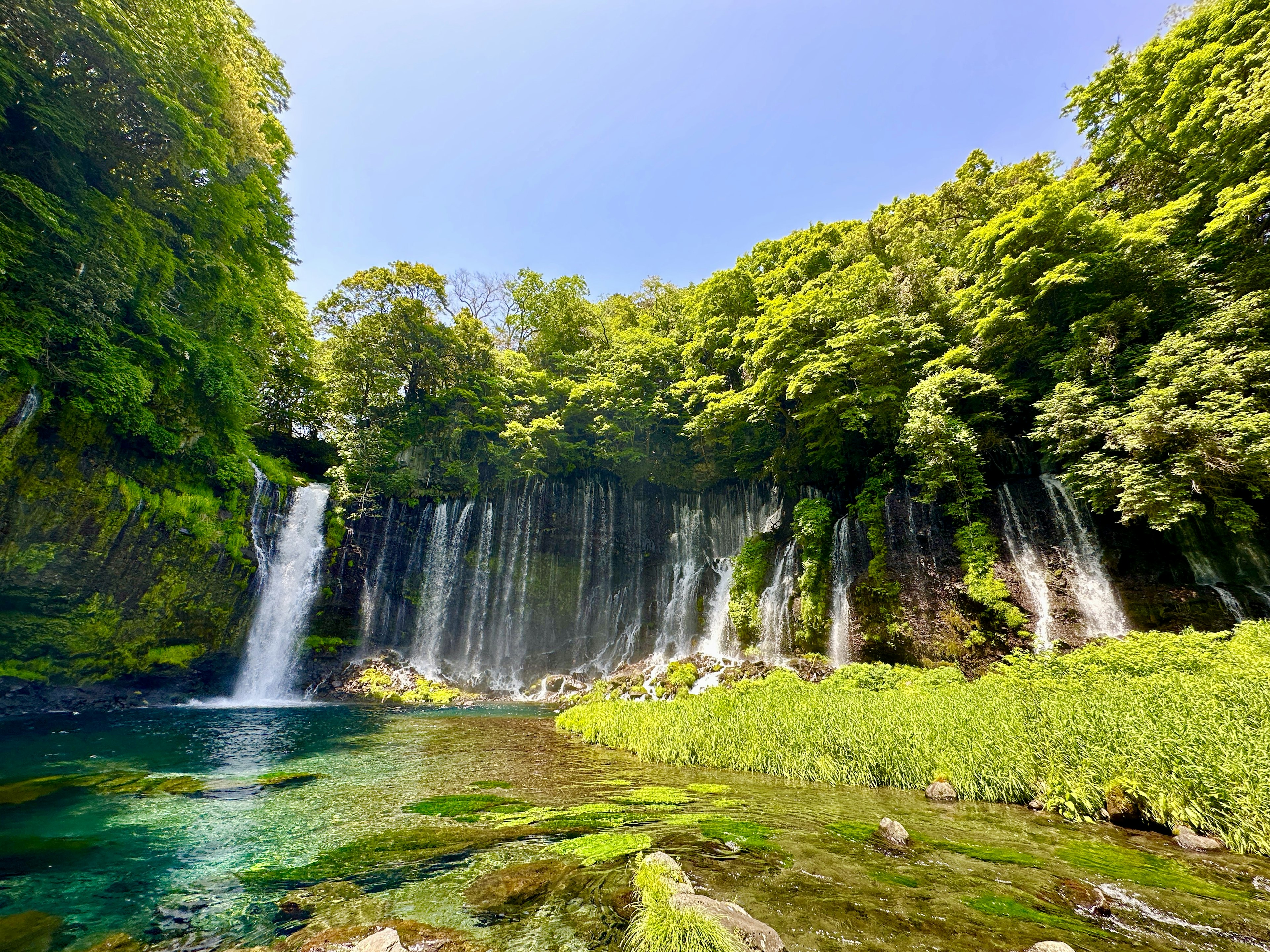 Bellissima cascata circondata da una vegetazione lussureggiante