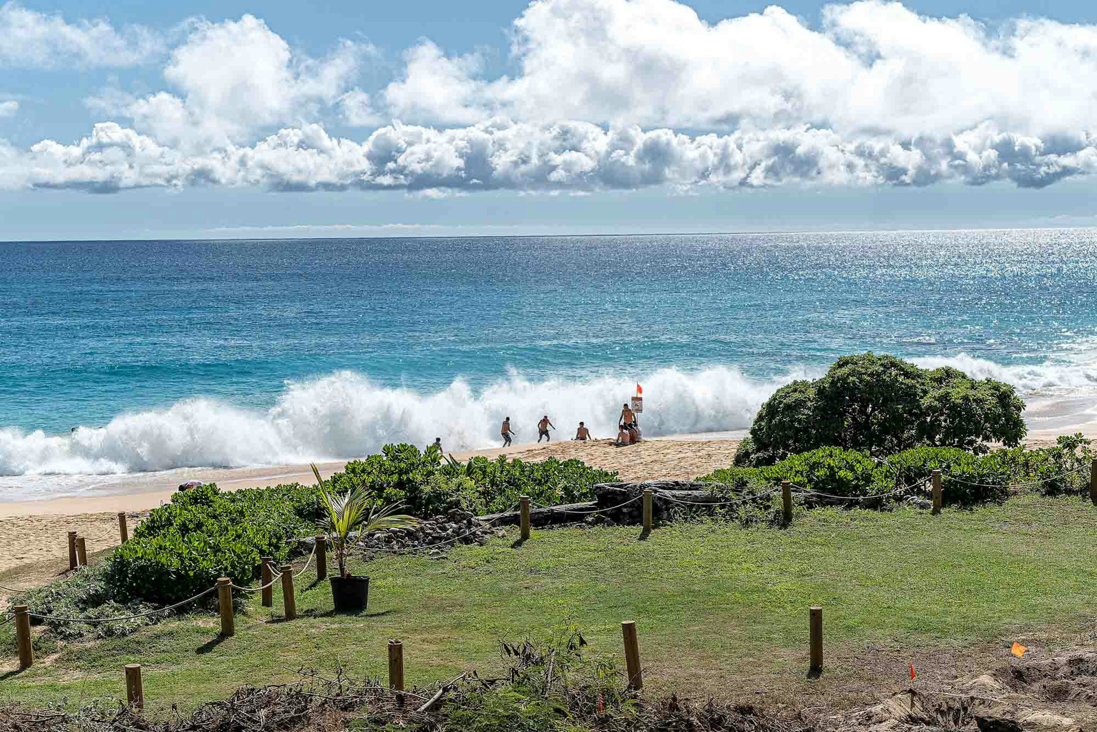 ทิวทัศน์ชายหาดที่มีมหาสมุทรสีน้ำเงินและคลื่นสีขาวพืชสีเขียวในพื้นหน้า