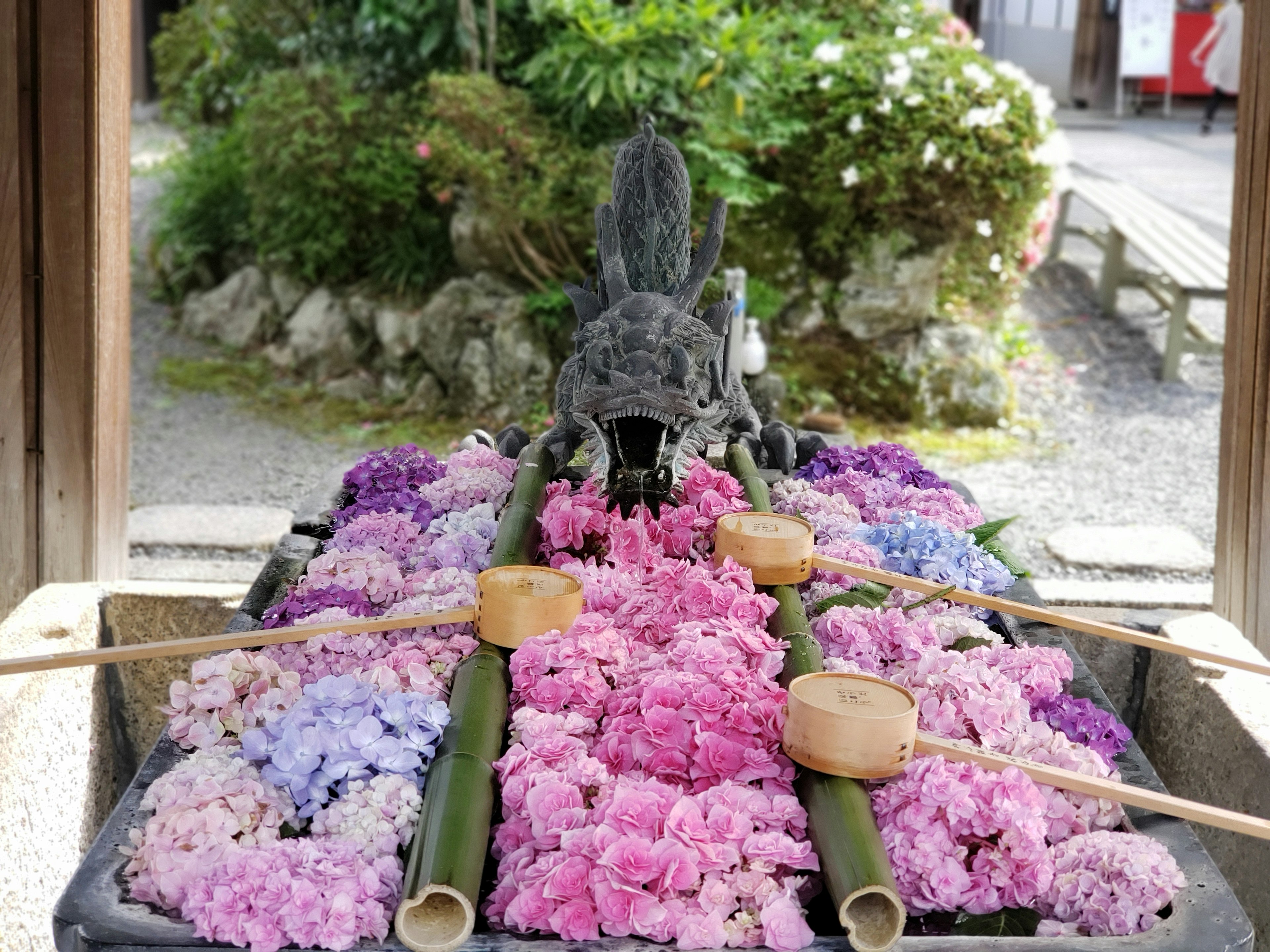 Une belle exposition de fleurs sur un bassin en pierre