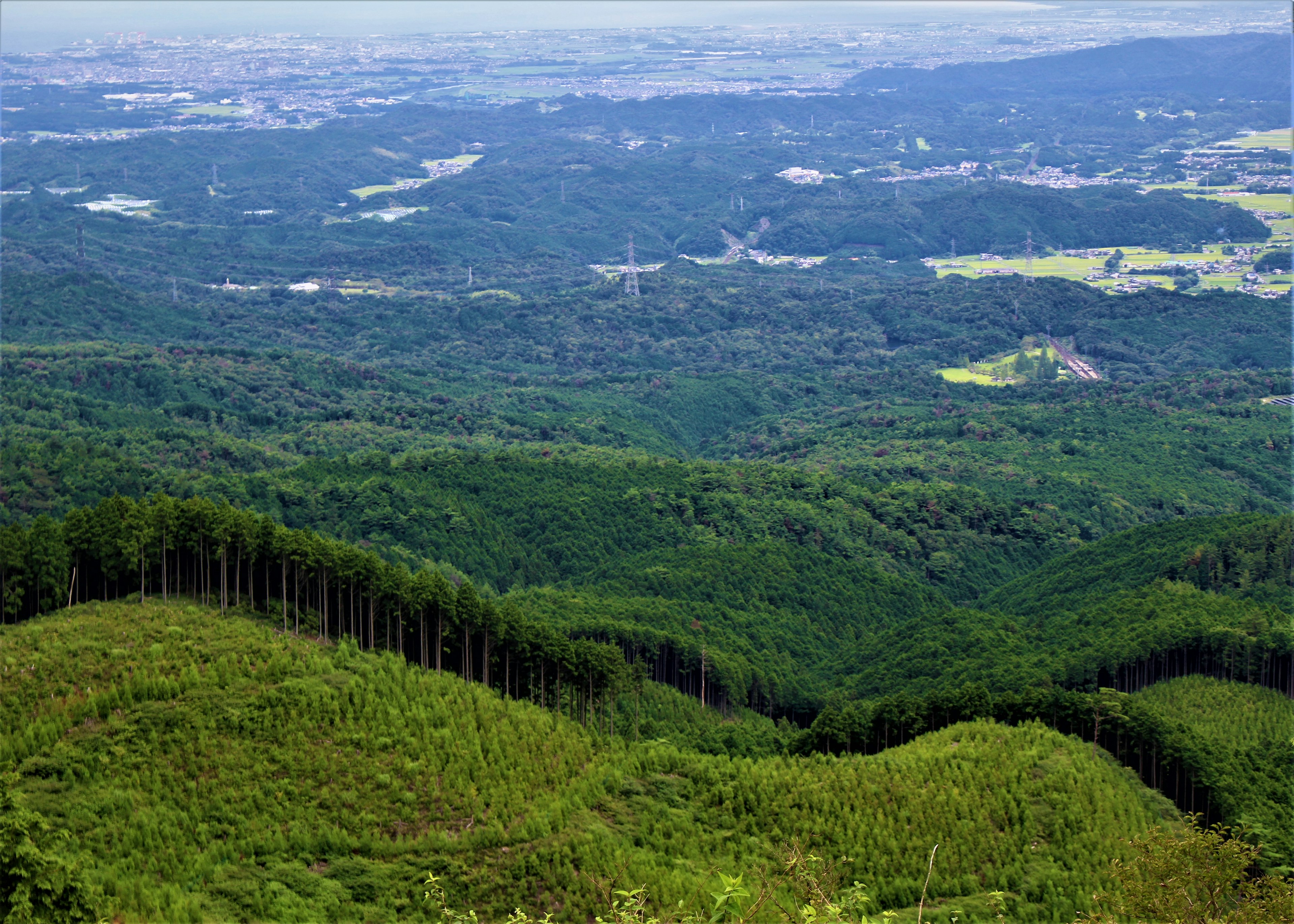 Vista di montagne e valli verdi da un punto di vista elevato