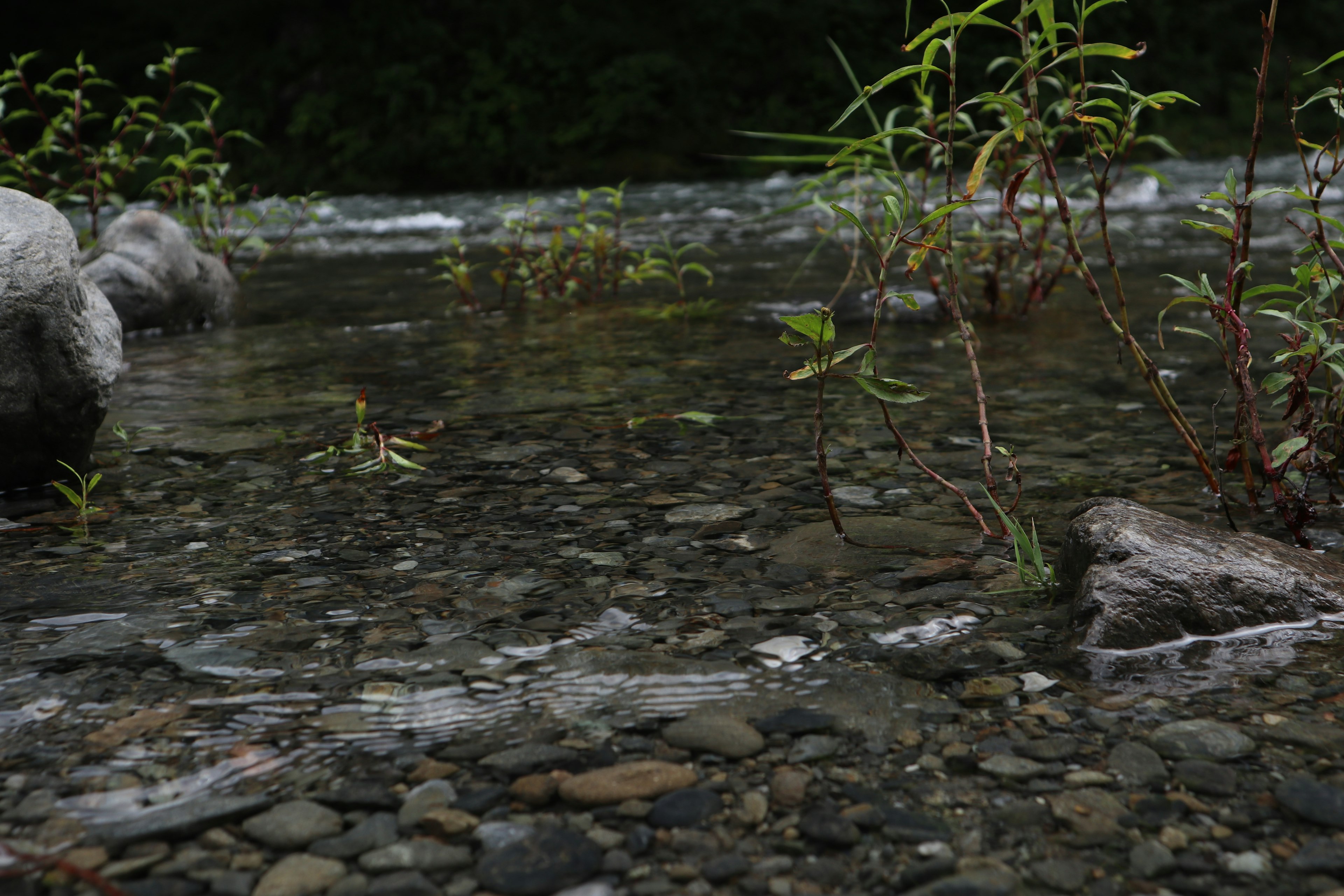 Ruhige Flusslandschaft mit Kieselsteinen und sanftem Wasserfluss