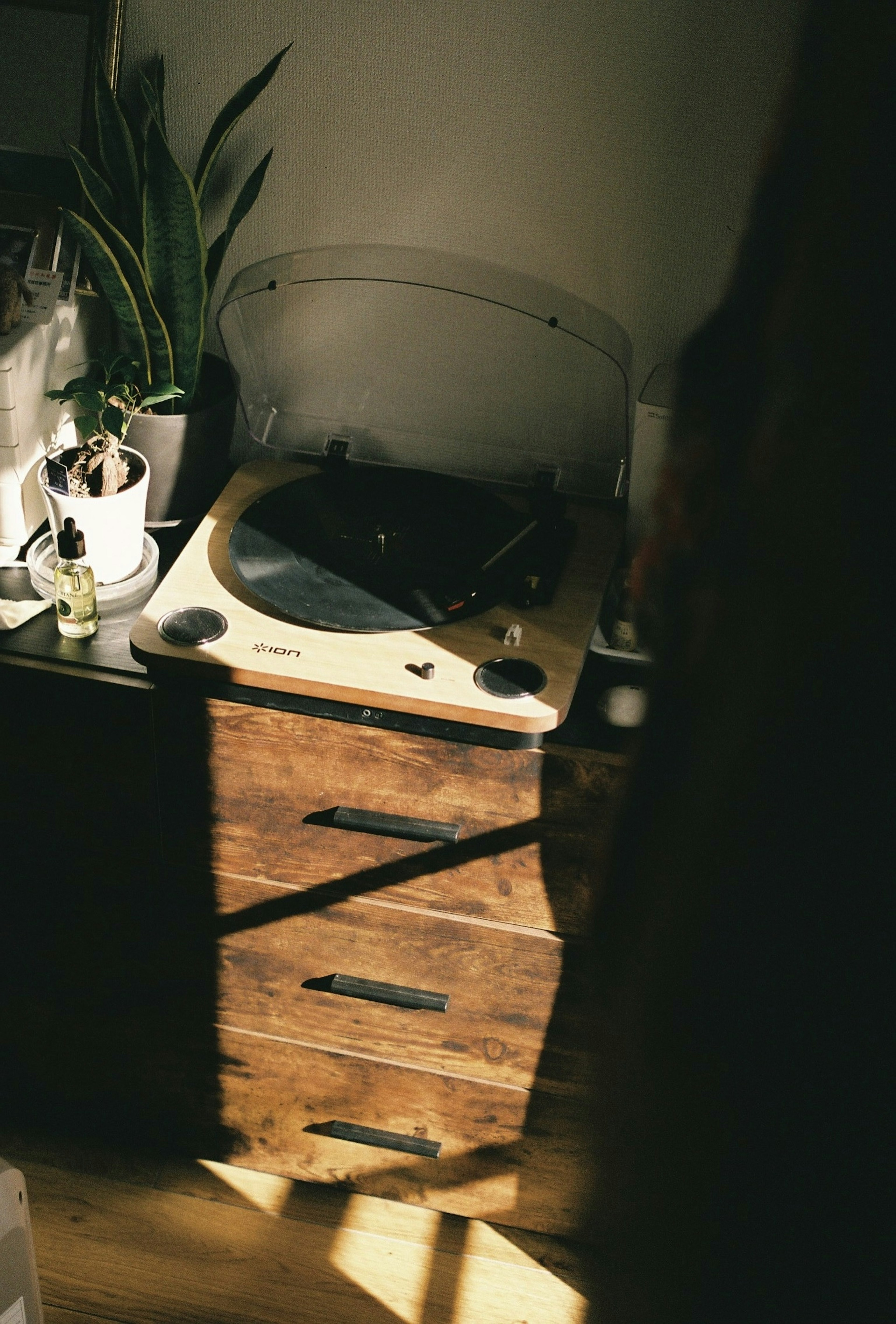 A record player on a wooden cabinet with a houseplant nearby