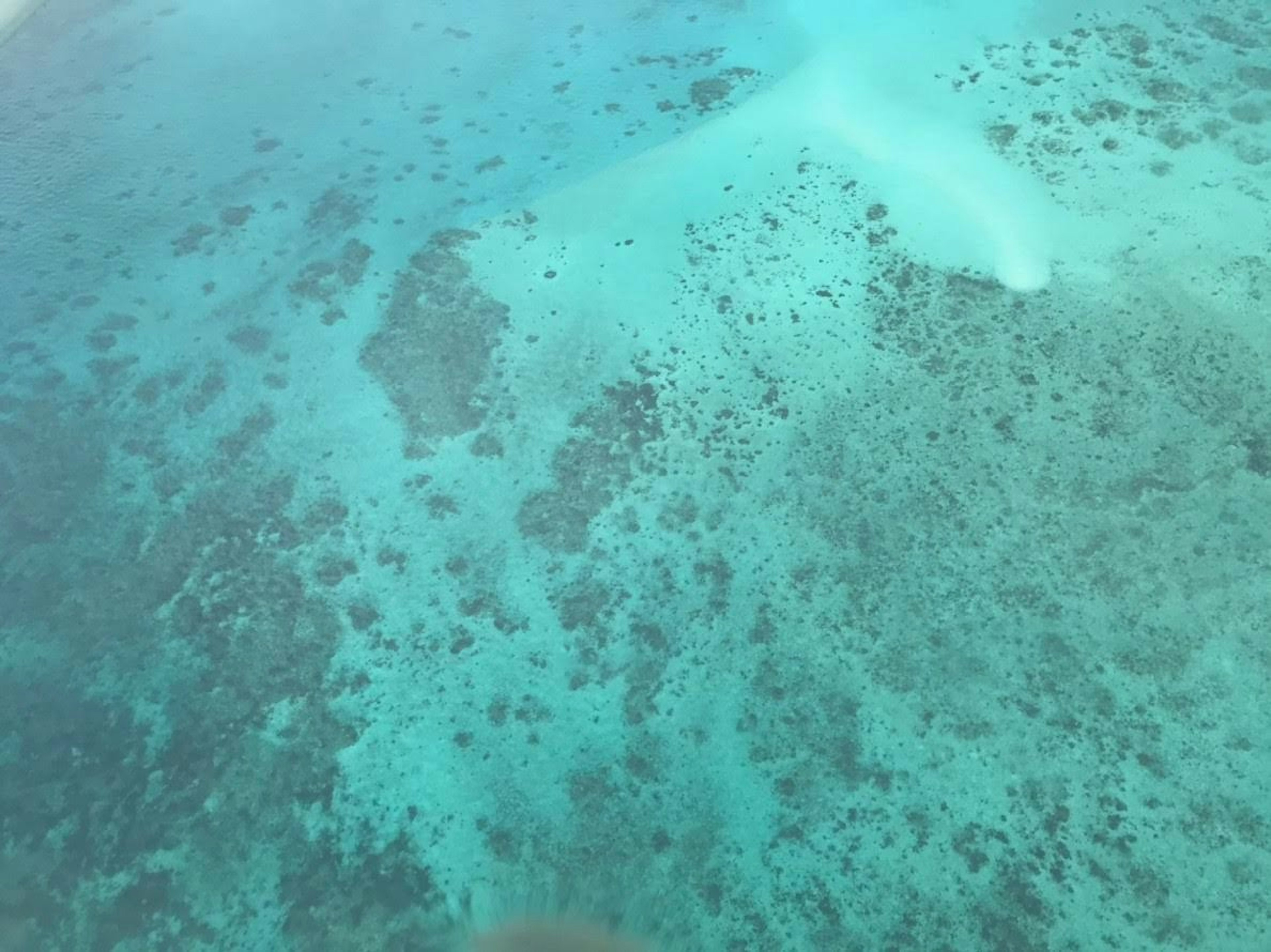 Aerial view of turquoise water and coral reefs