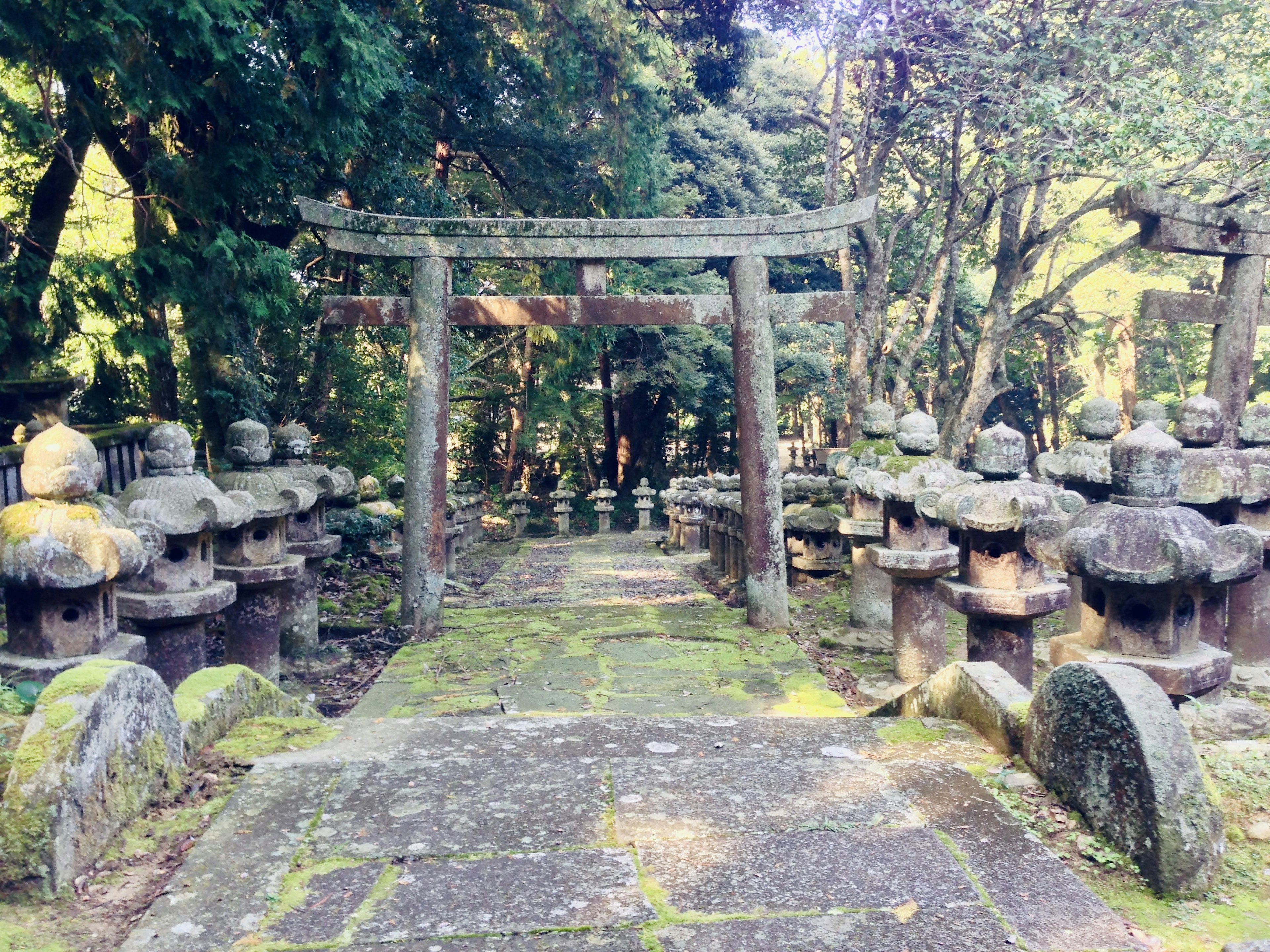 Stone path with moss and stone lanterns leading to a traditional shrine