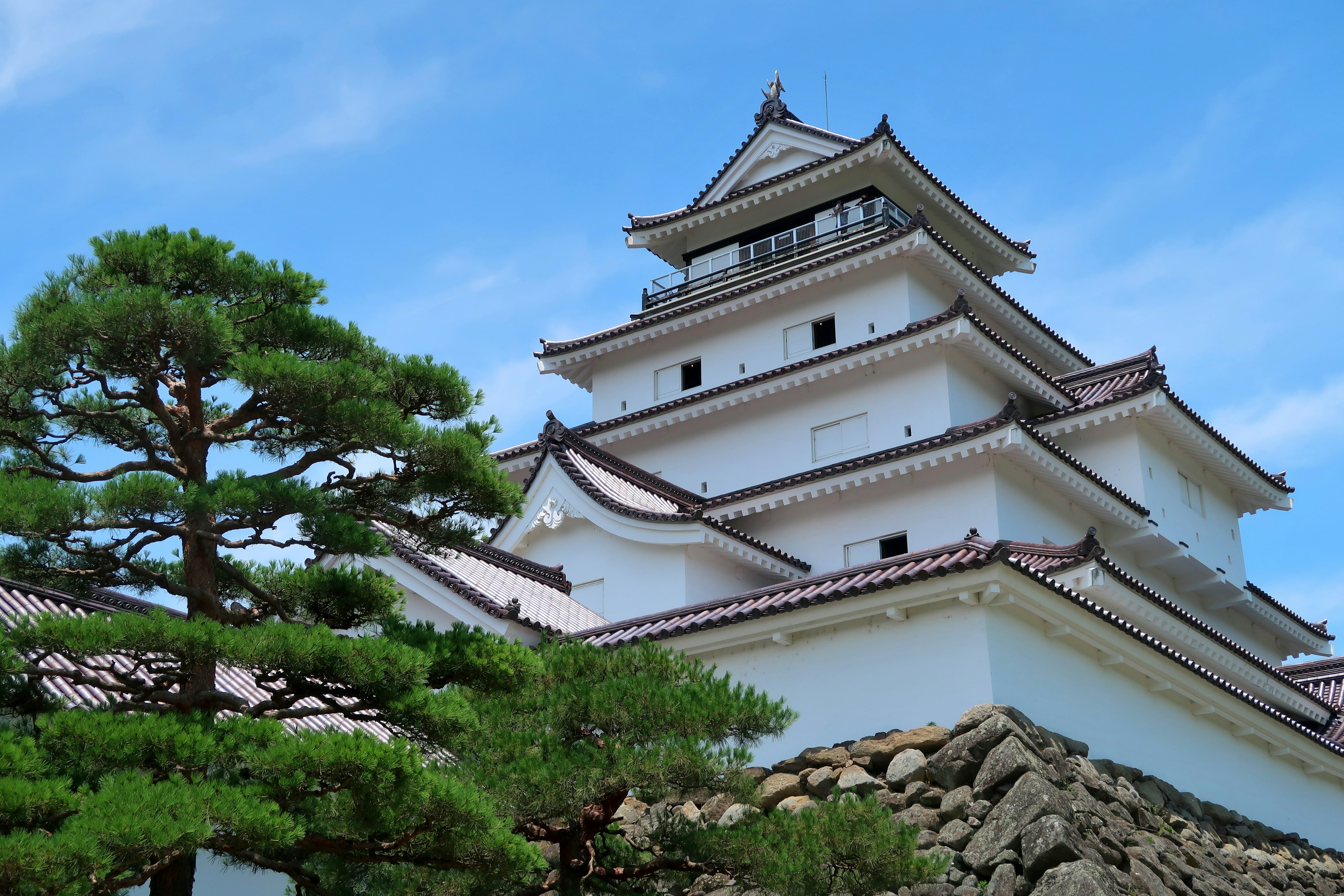 美しい白い城と緑の松の木を背景にした青い空