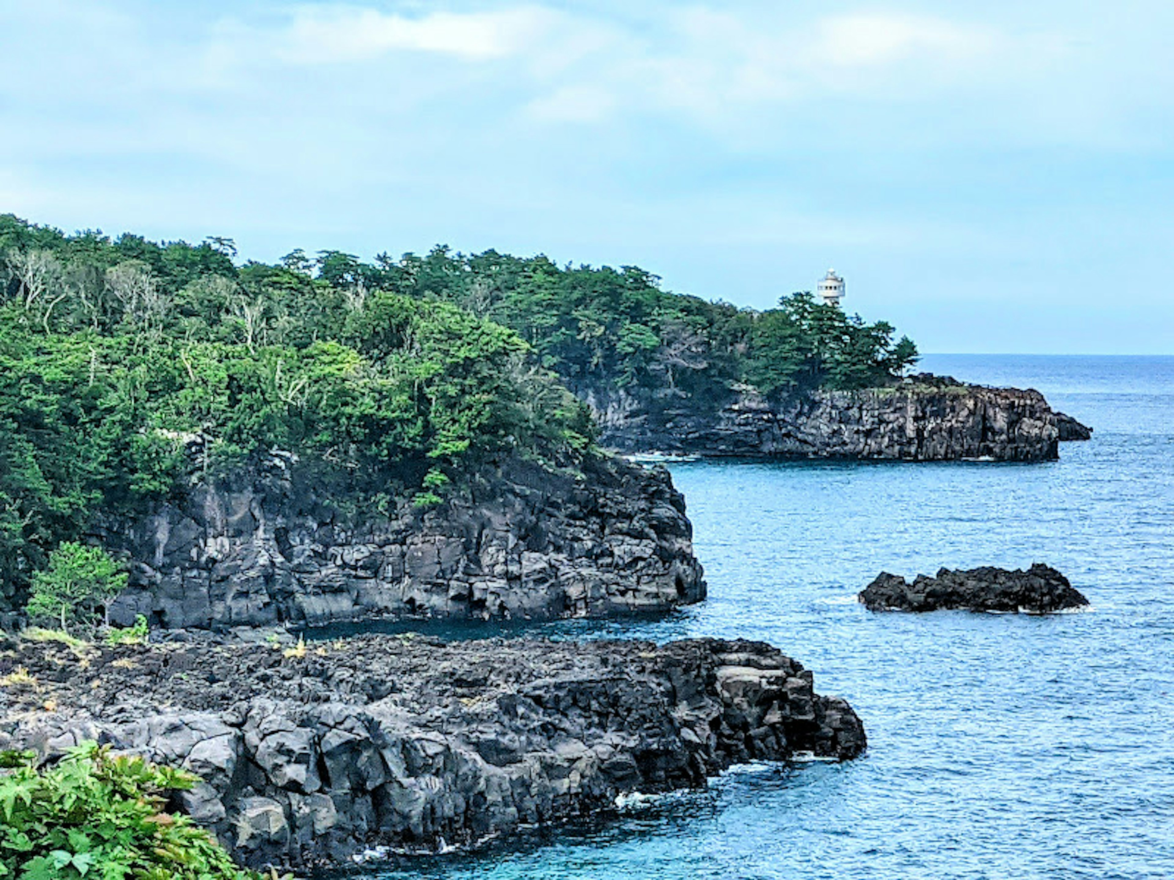 Costa rocciosa con alberi verdi lussureggianti e oceano blu