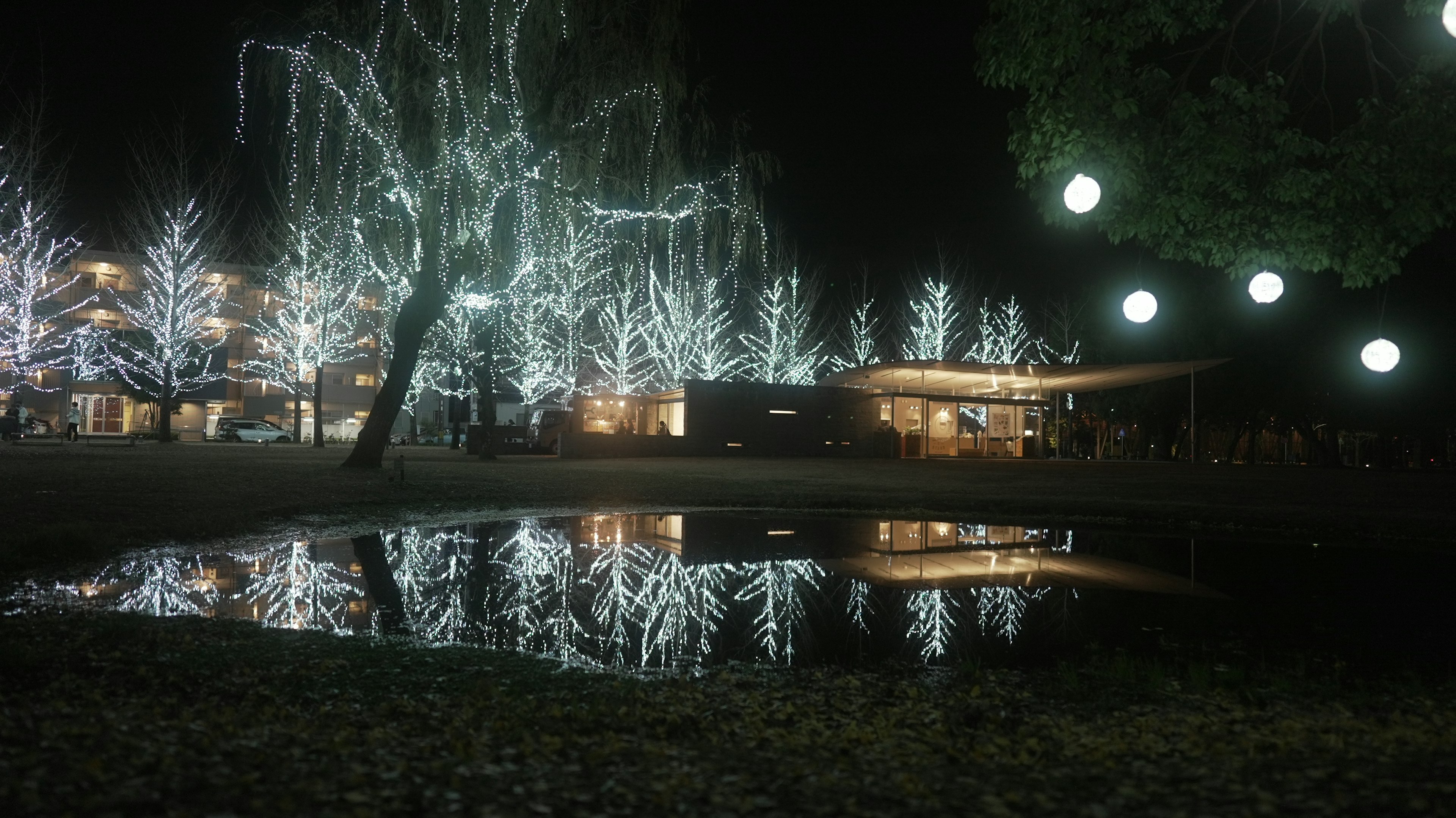 夜の公園に輝くイルミネーションと水面に映る光