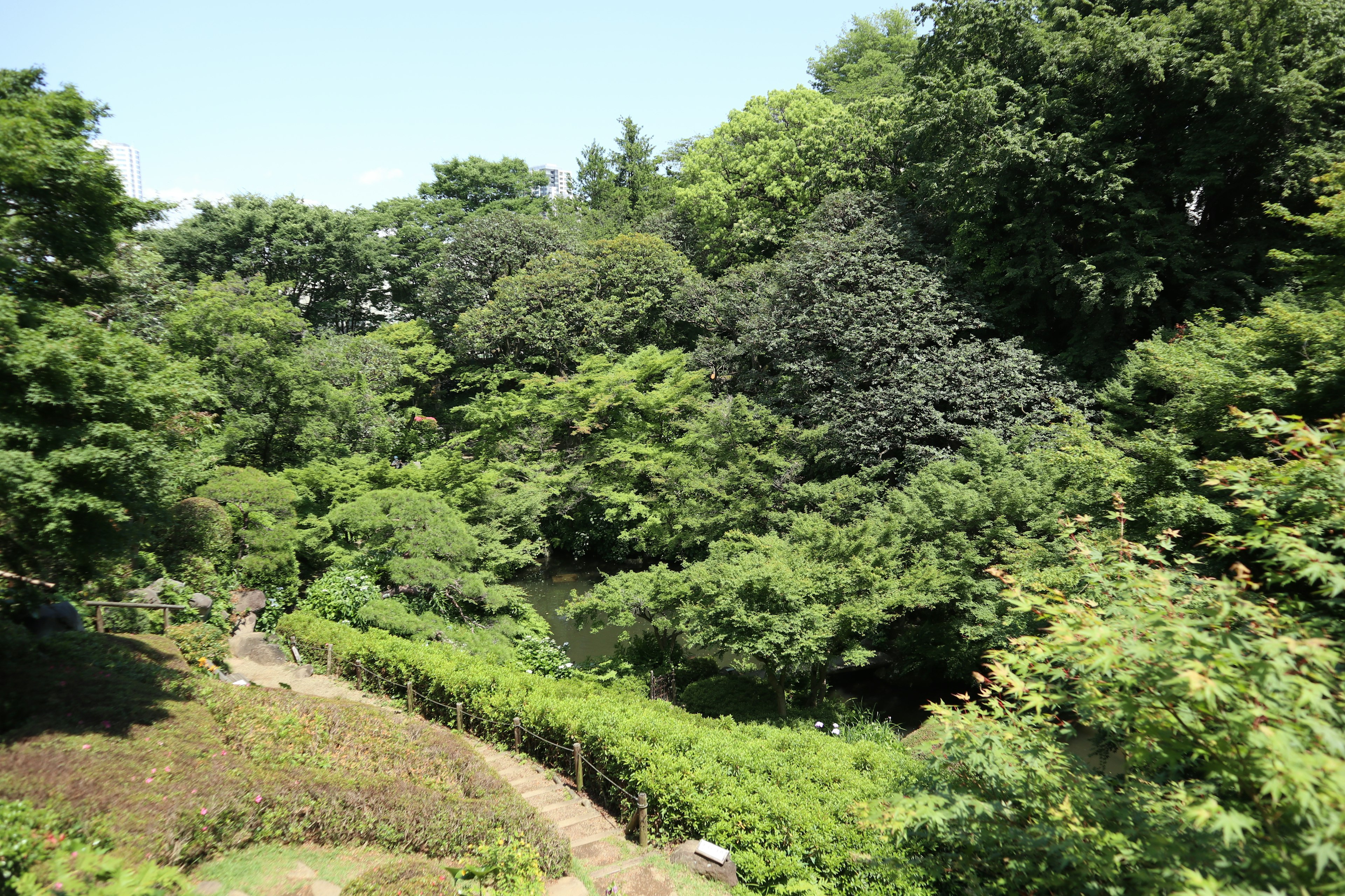 Lush green park landscape with blue sky trees and walking path