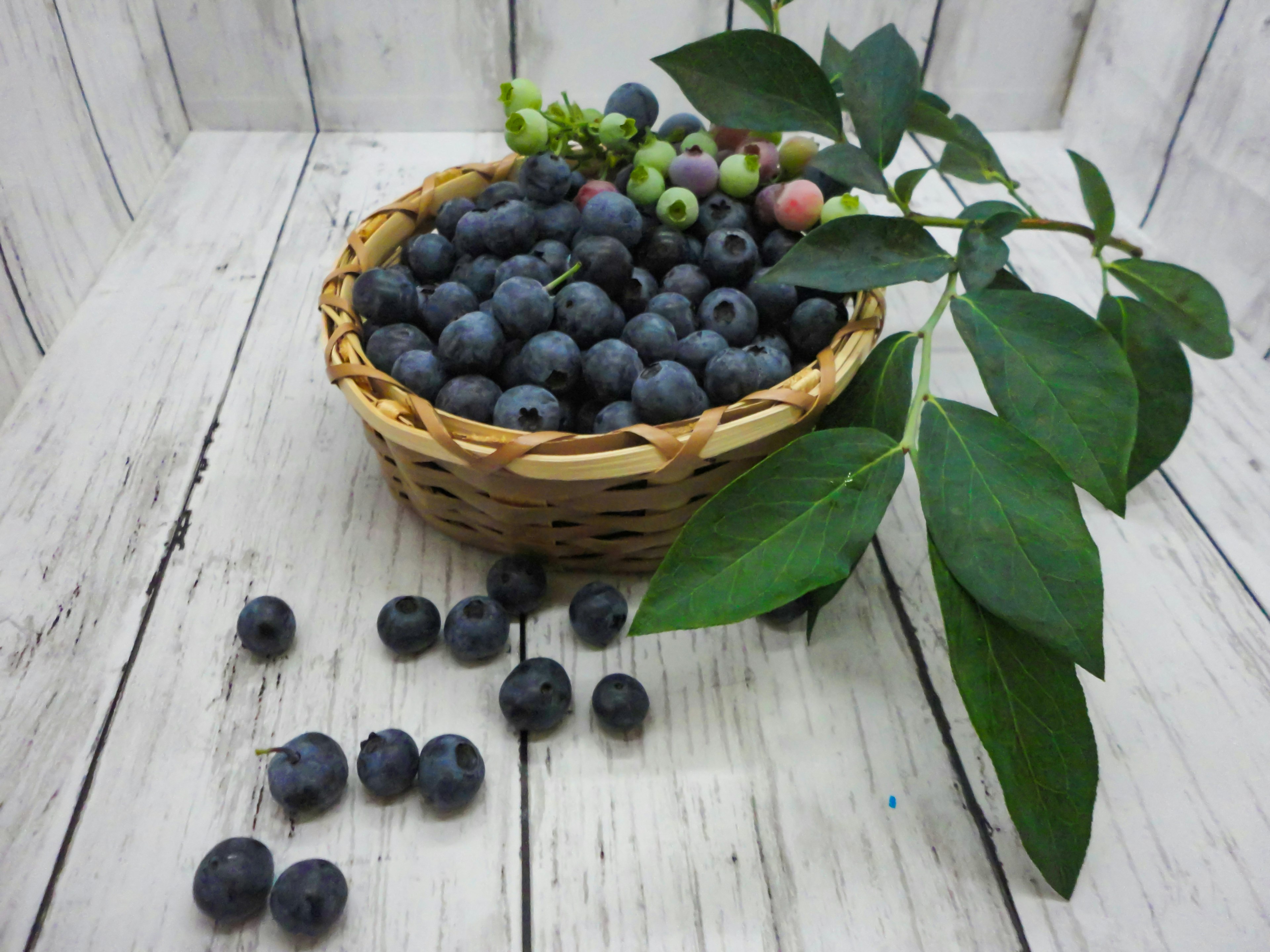 Keranjang penuh blueberry segar dan daun hijau