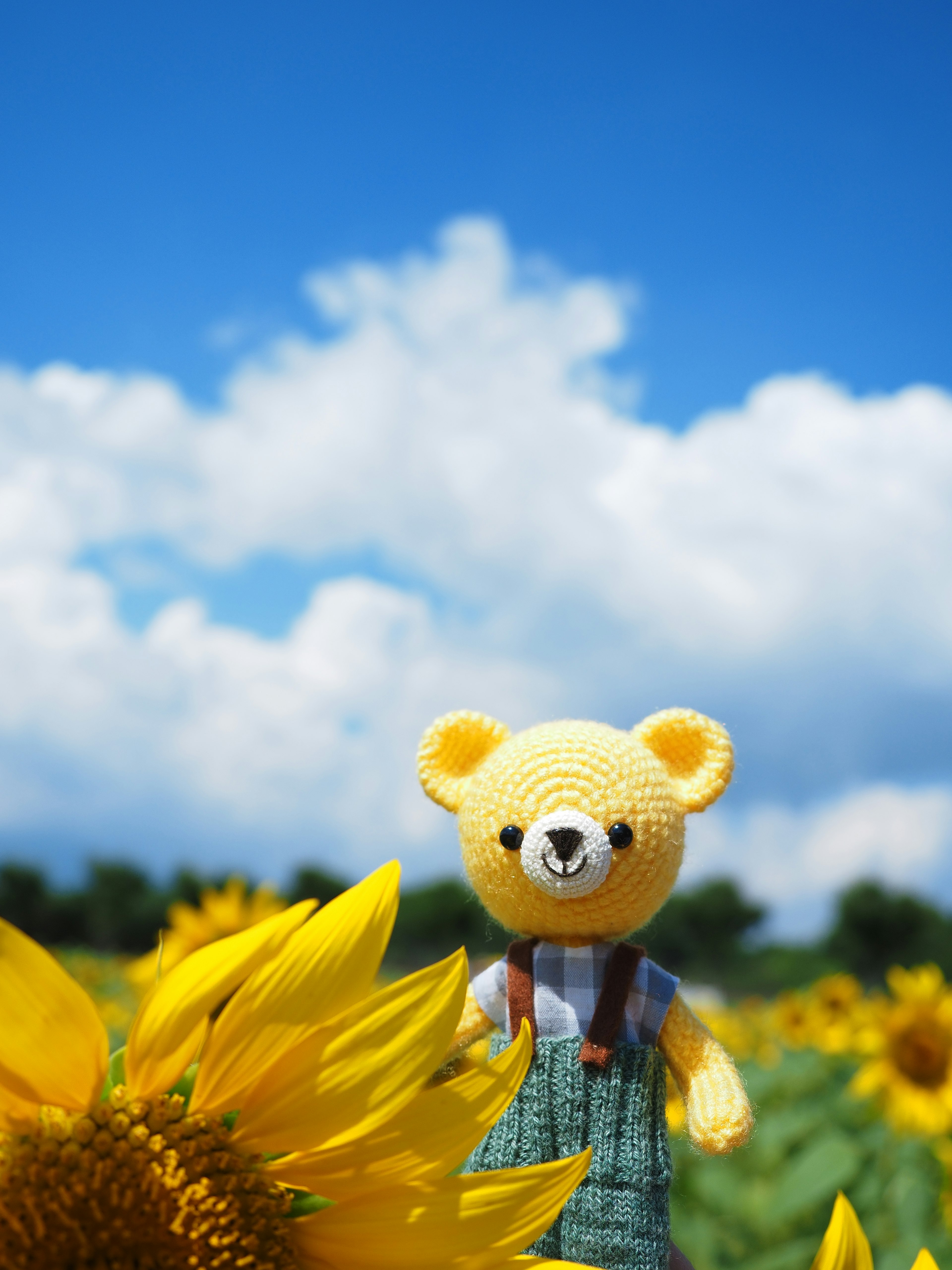 A yellow teddy bear standing in a sunflower field with a blue sky and white clouds in the background