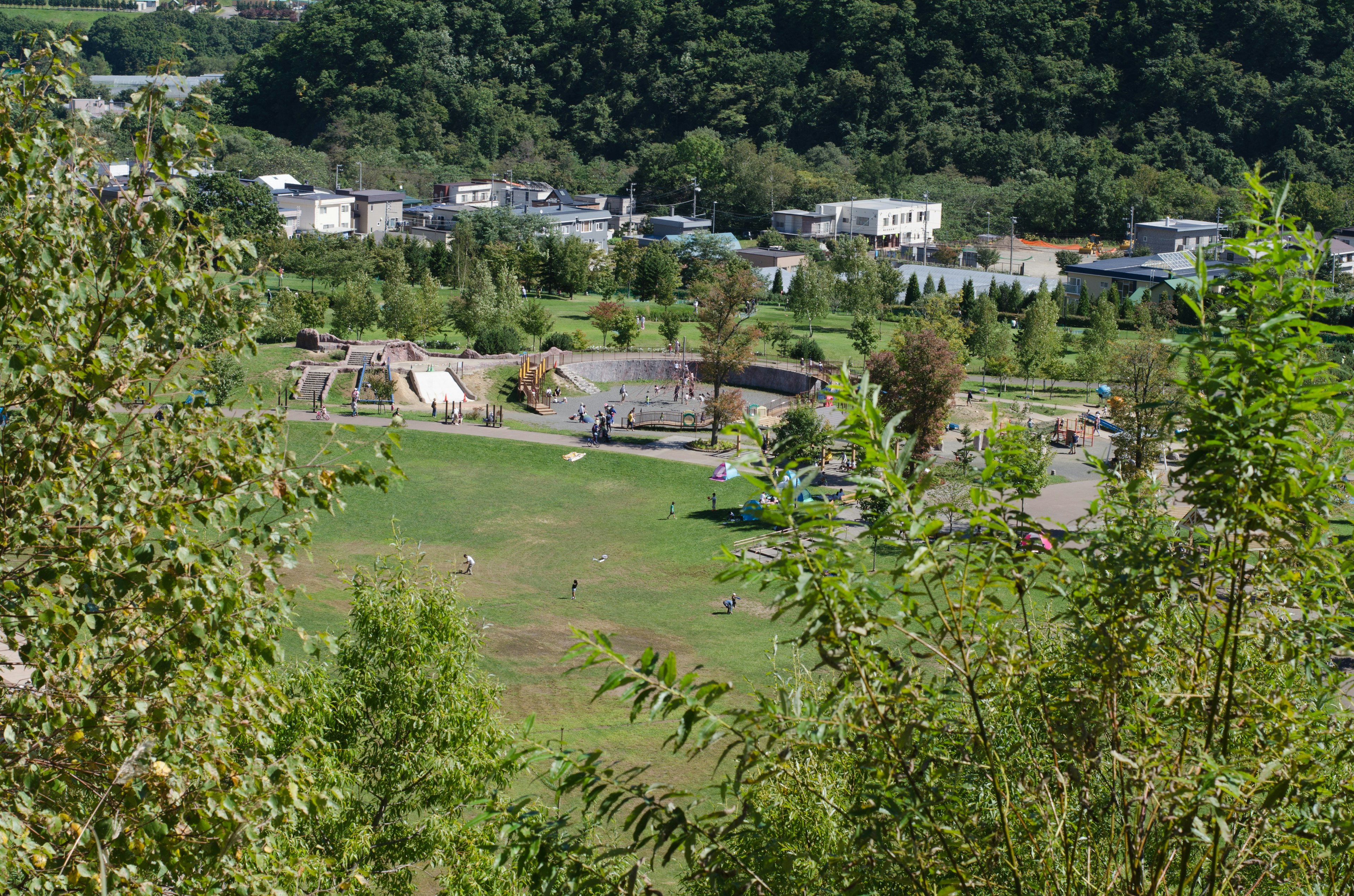 从郁郁葱葱的山坡上看，展示住宅区和宽阔的草地