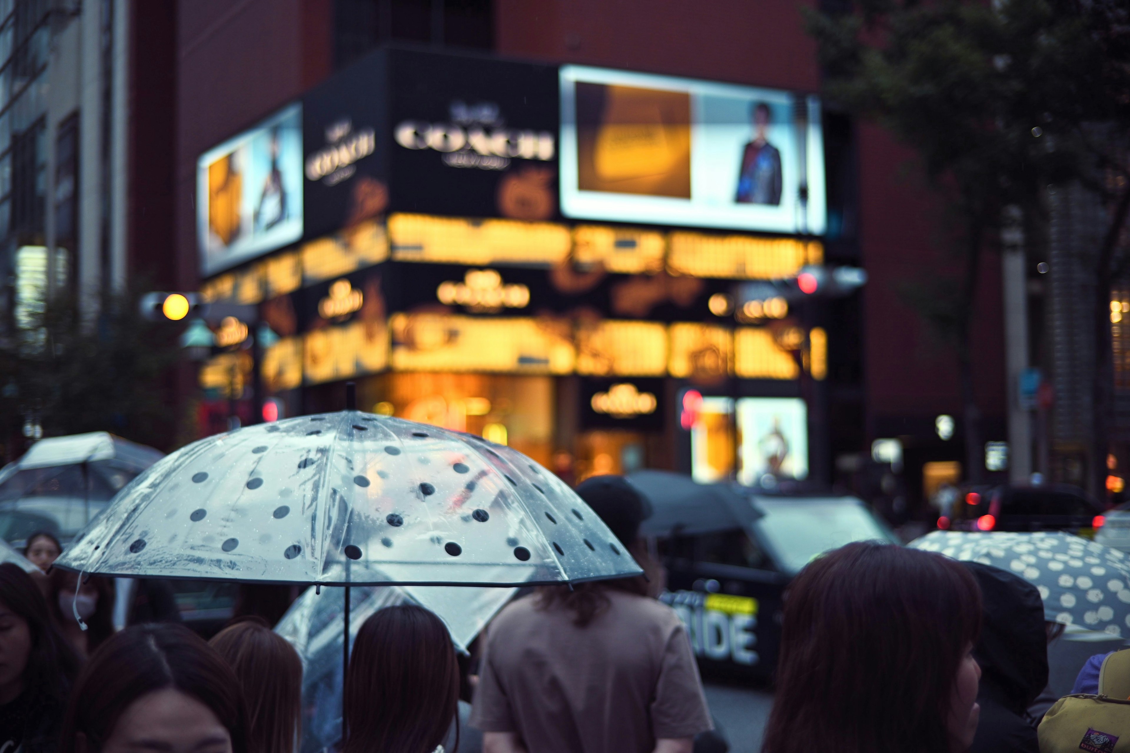 Menschenmenge mit Regenschirmen im Regen neben hellen Werbeanzeigen