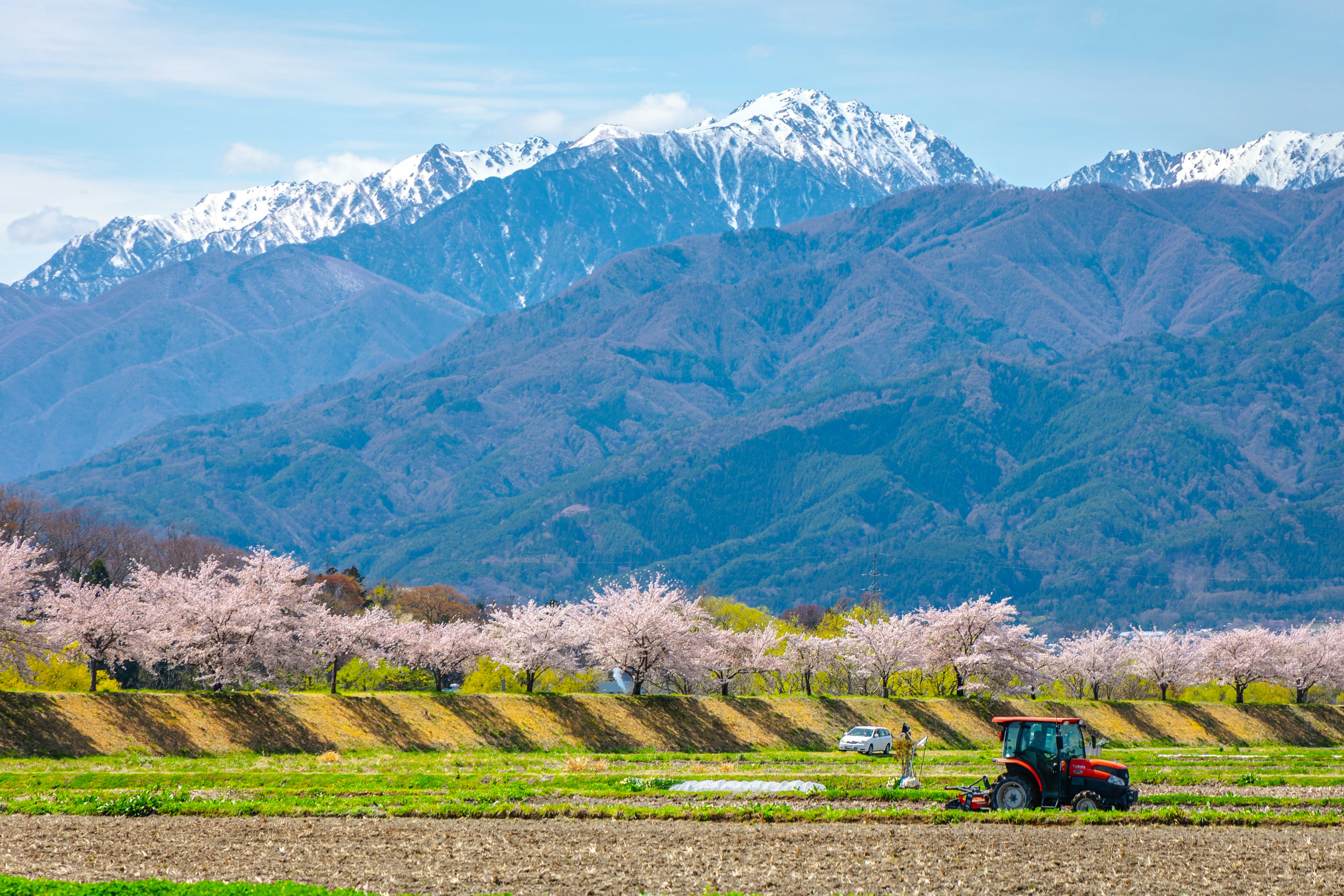 Vue pittoresque d'arbres en fleurs et de montagnes enneigées avec un tracteur travaillant dans le champ