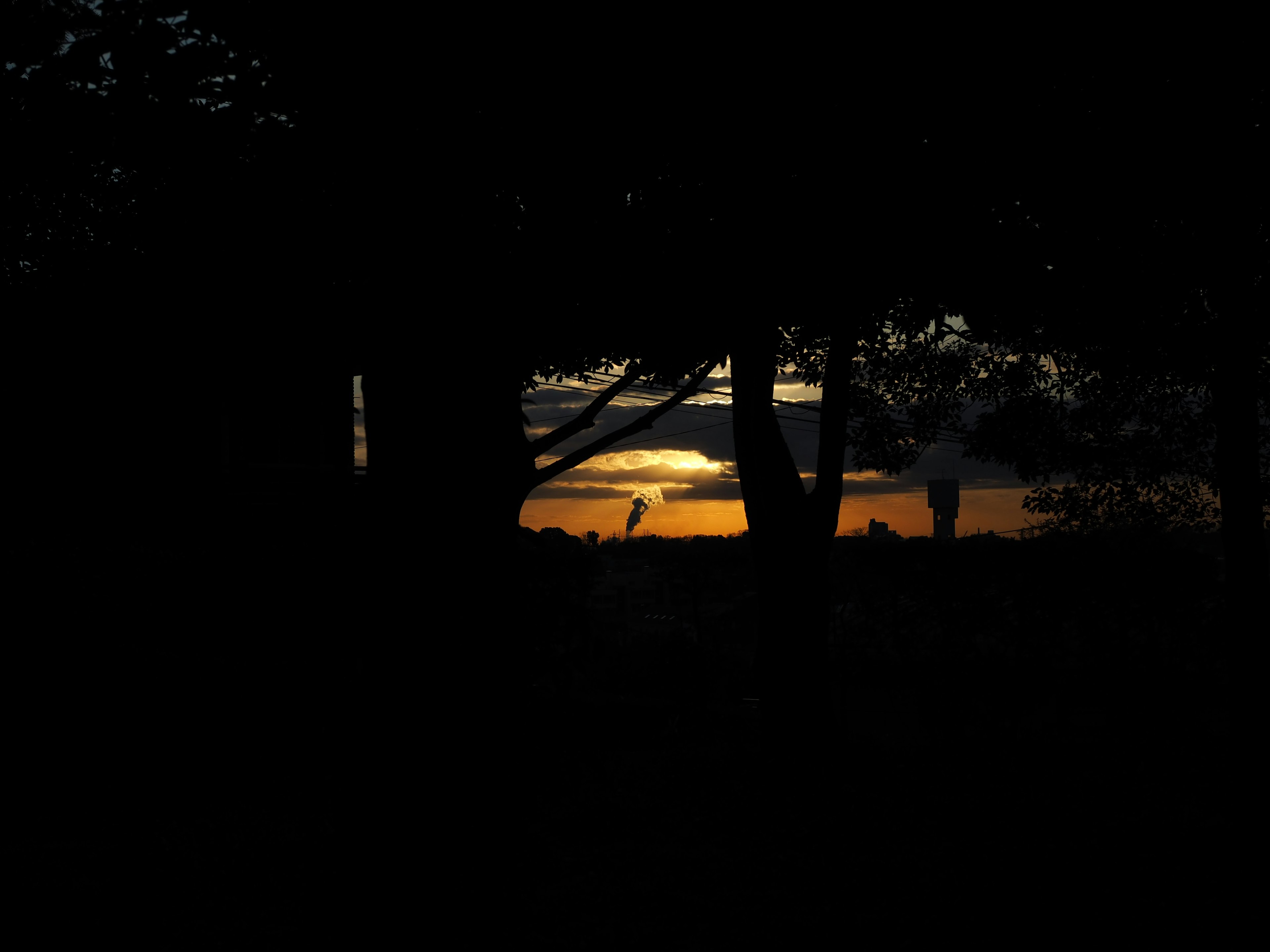 Silhouette von Bäumen mit einem Sonnenuntergang im Hintergrund