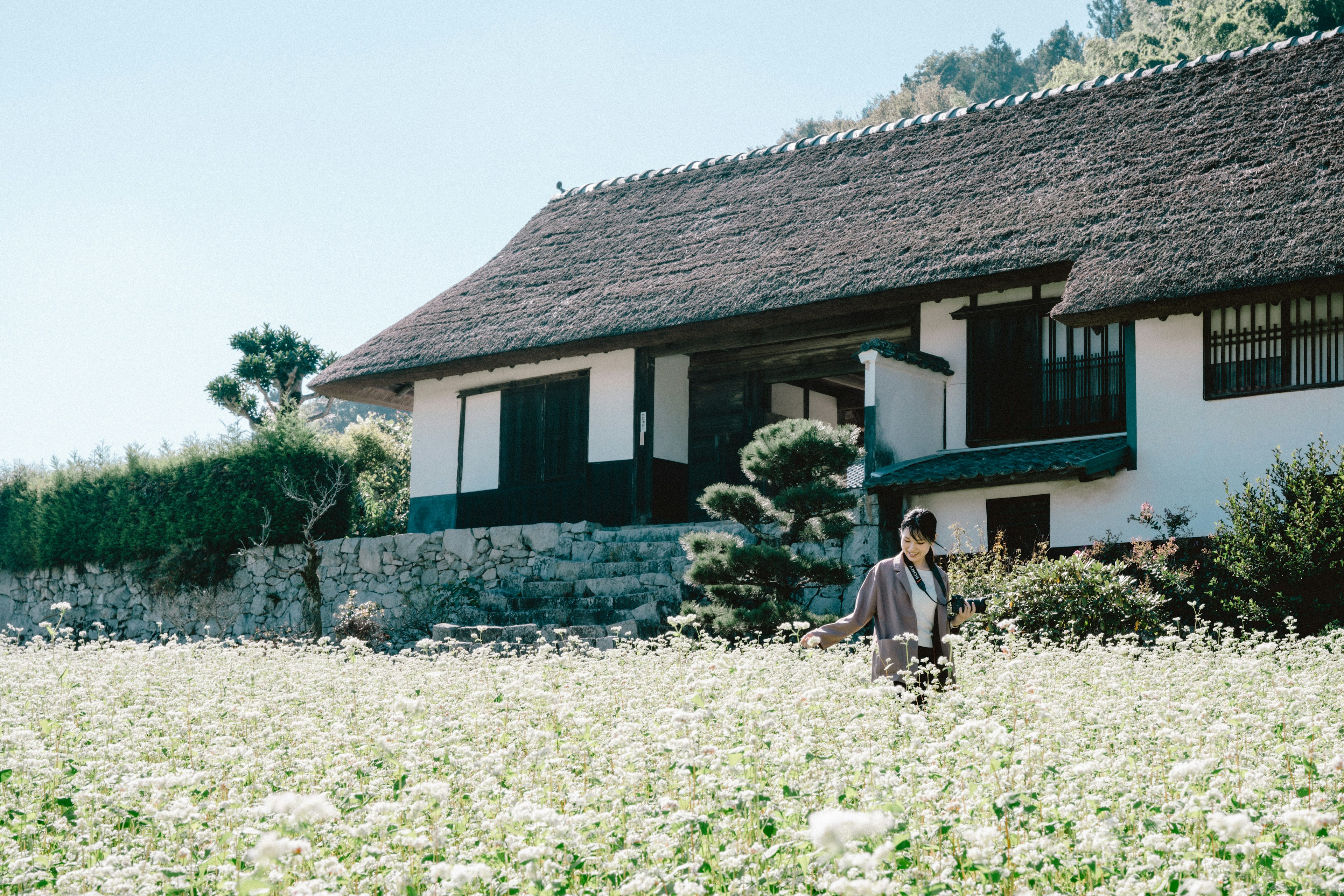 田園風景の中にある伝統的な日本の家と花畑