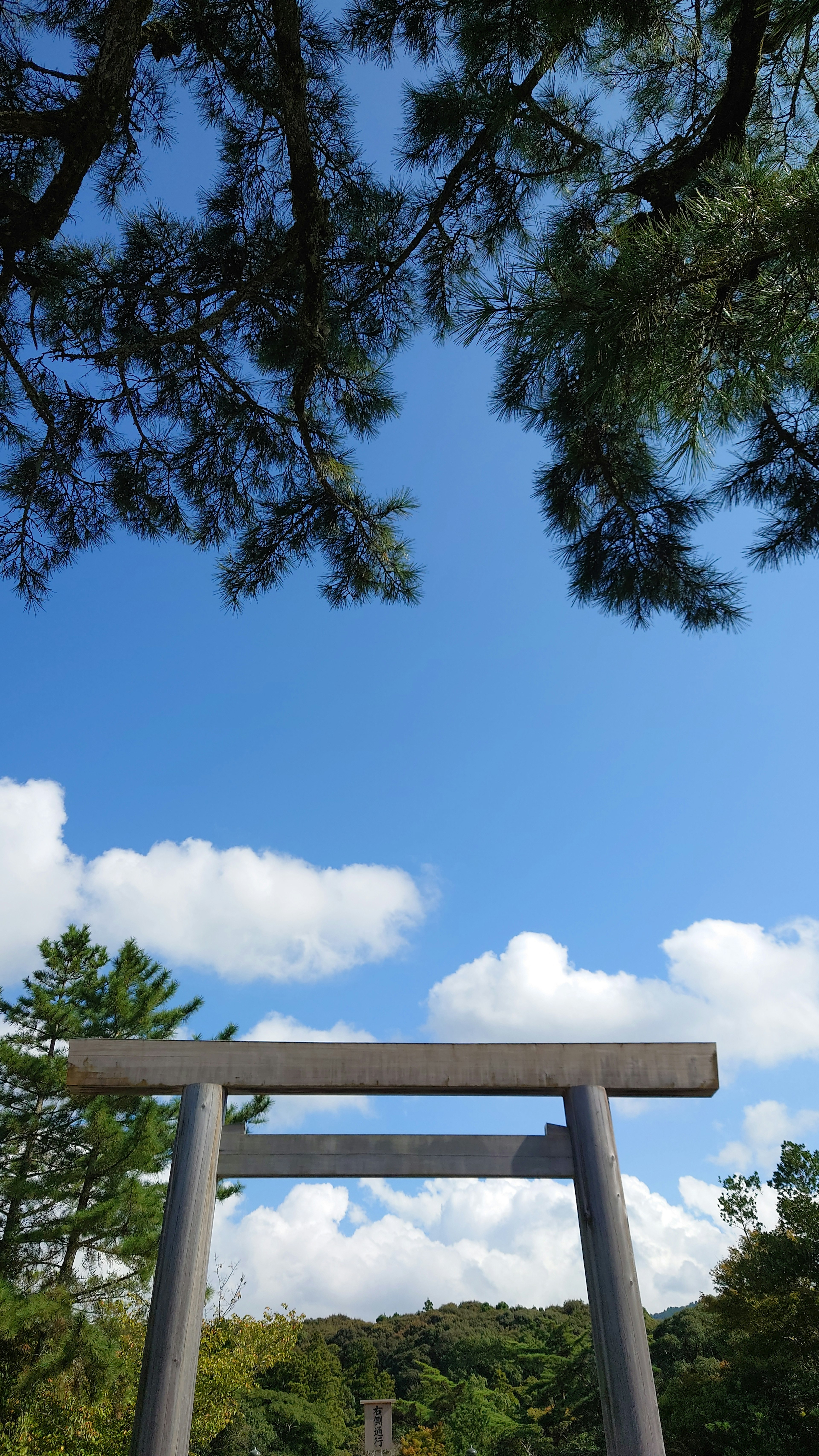 Gerbang torii di bawah langit biru dengan awan dan pohon