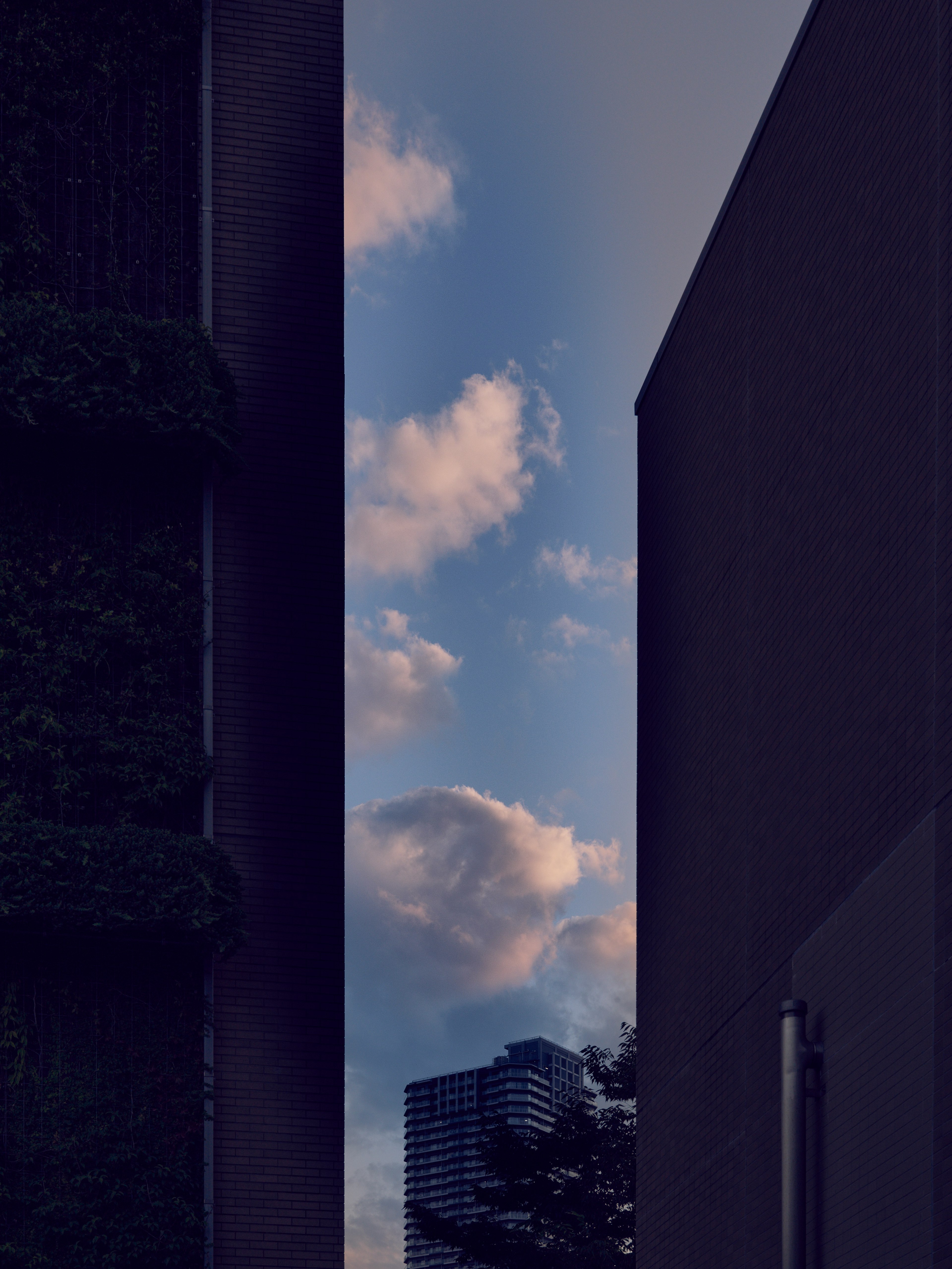 高層ビルの間から見える青空と雲