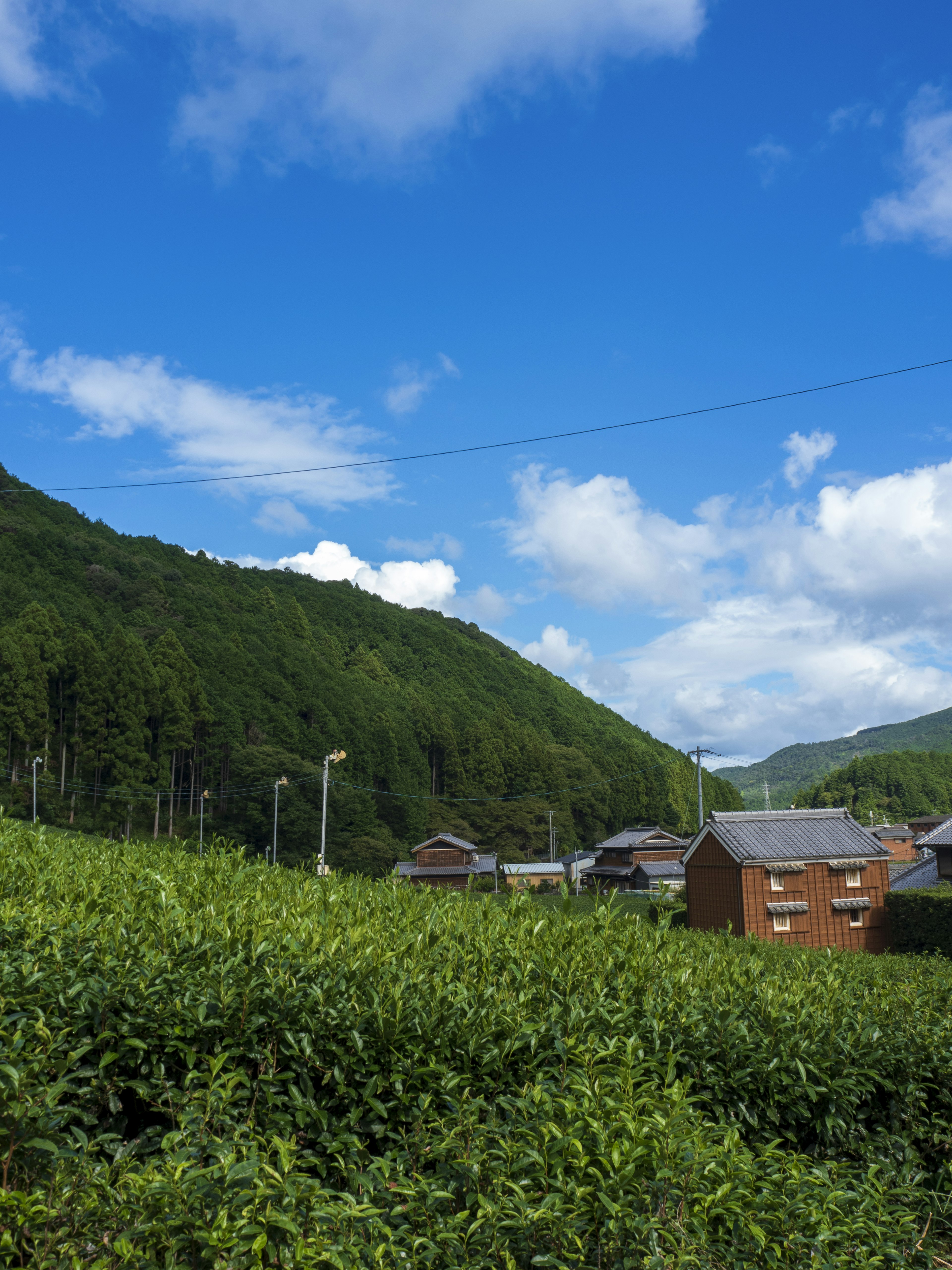 緑豊かな山と青い空の風景に、田舎の家々が見える