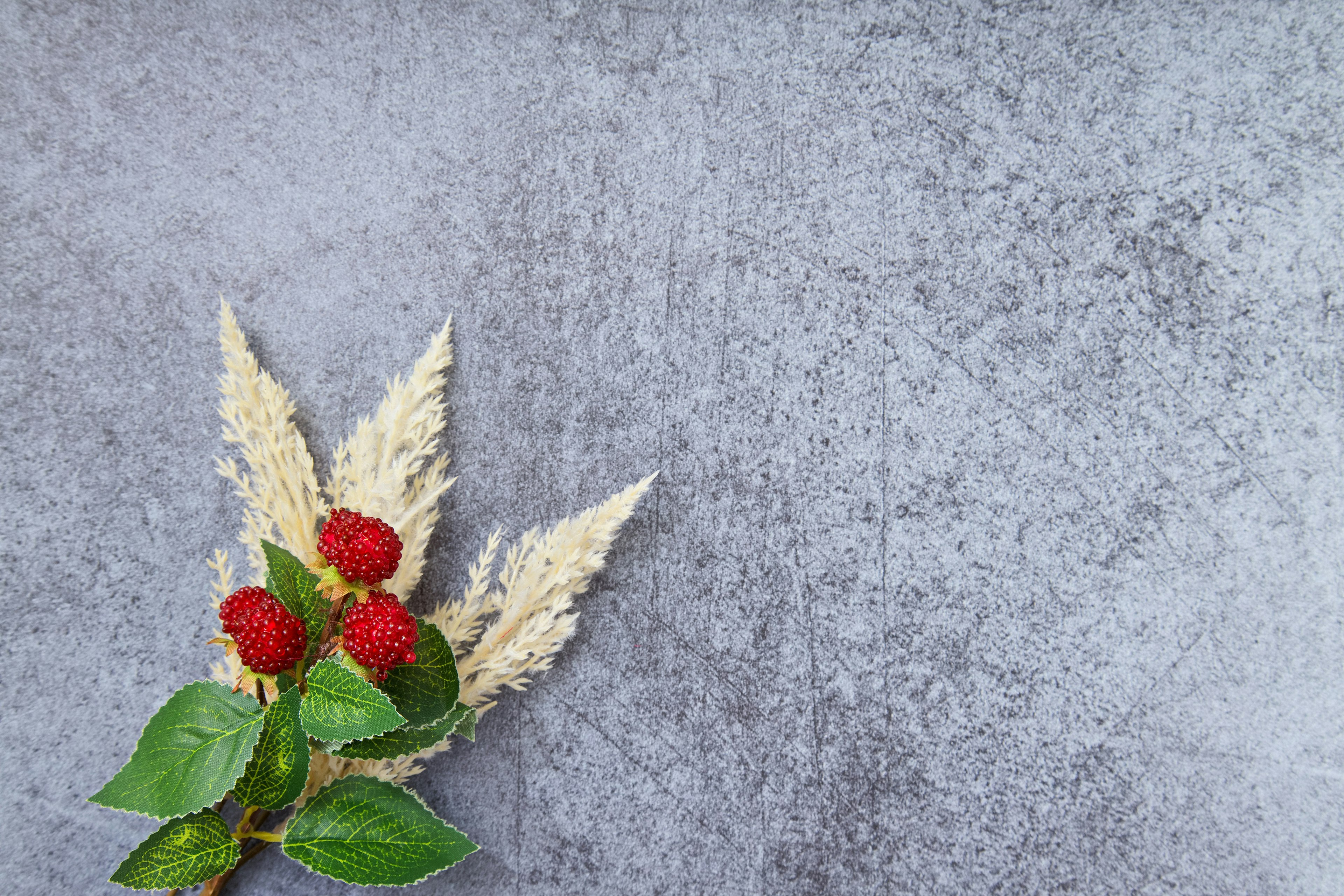 Arrangement of red berries and grass leaves on a gray background