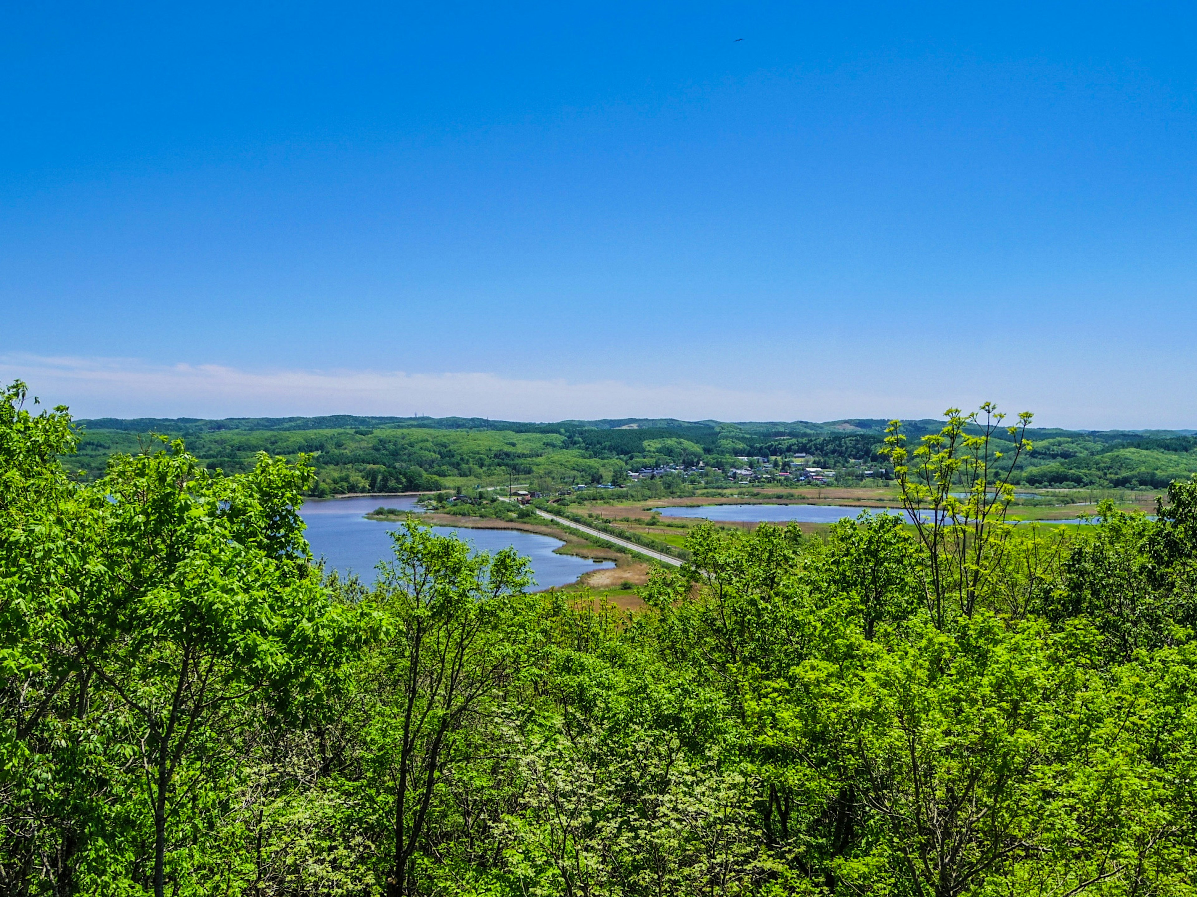 Eine malerische Aussicht auf einen Fluss, umgeben von grünen Bäumen unter einem klaren blauen Himmel