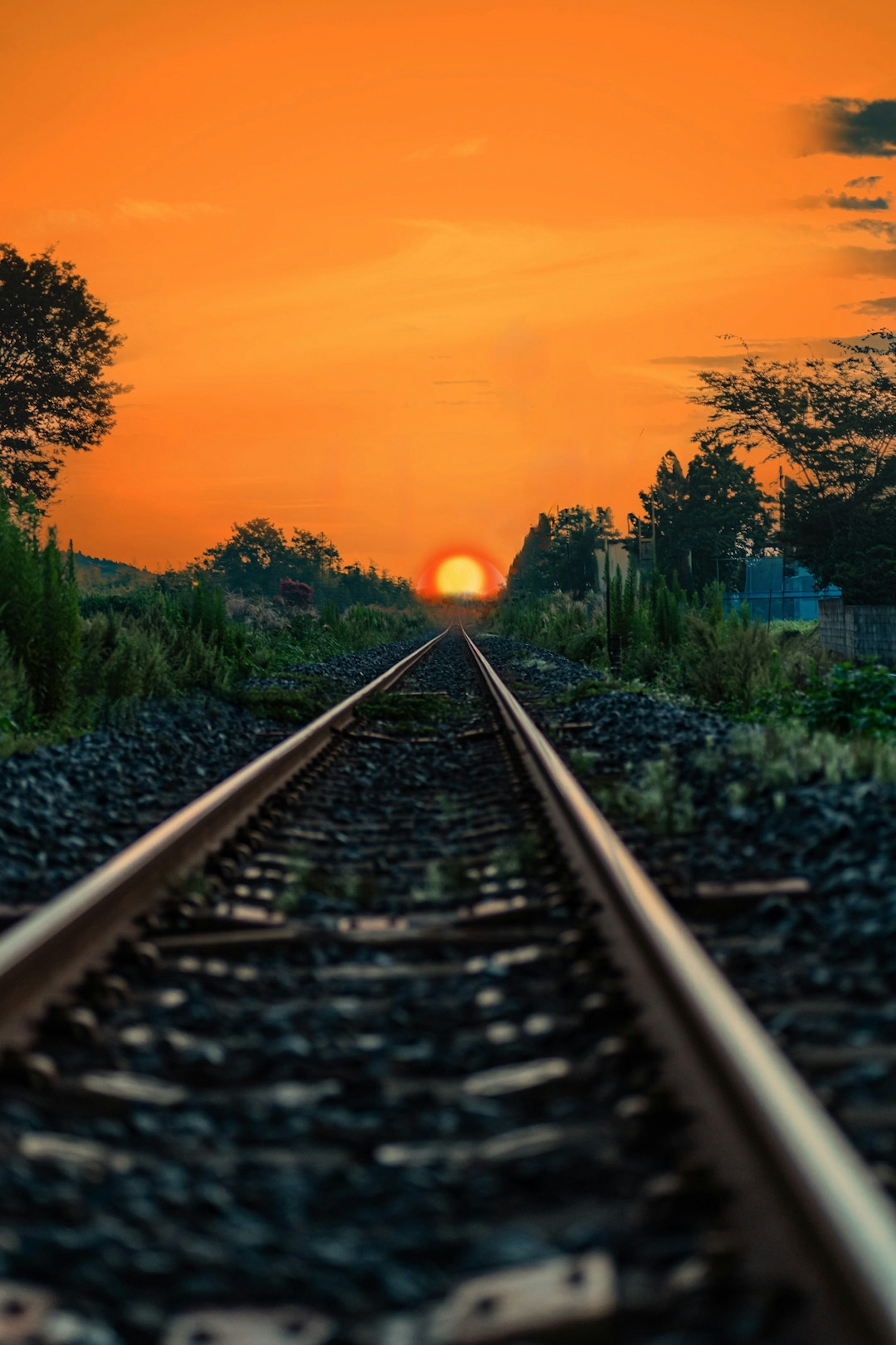 Paisaje de vías de tren con el atardecer de fondo