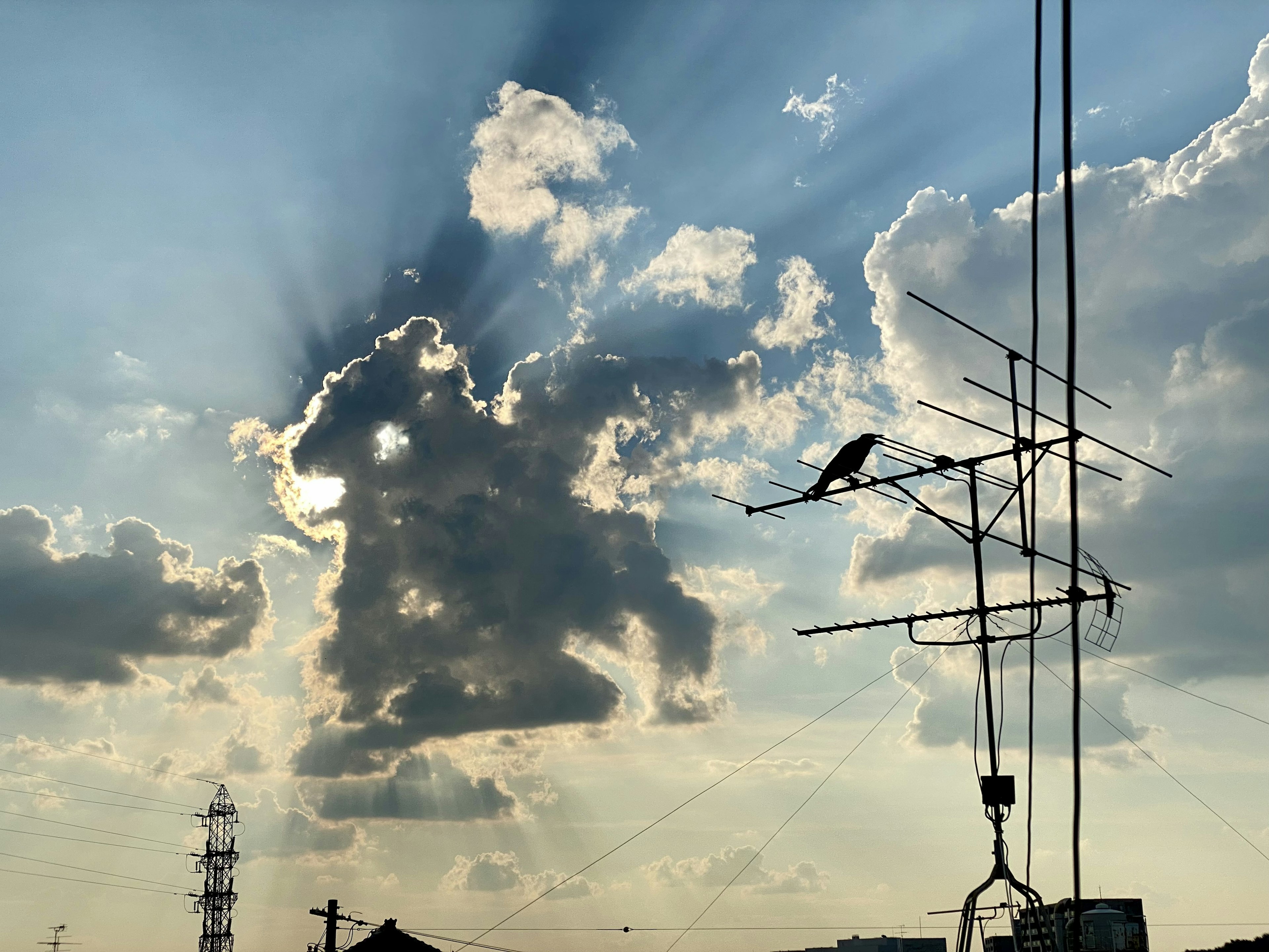 Silhouette of a bird on an antenna against a backdrop of clouds and rays of sunlight