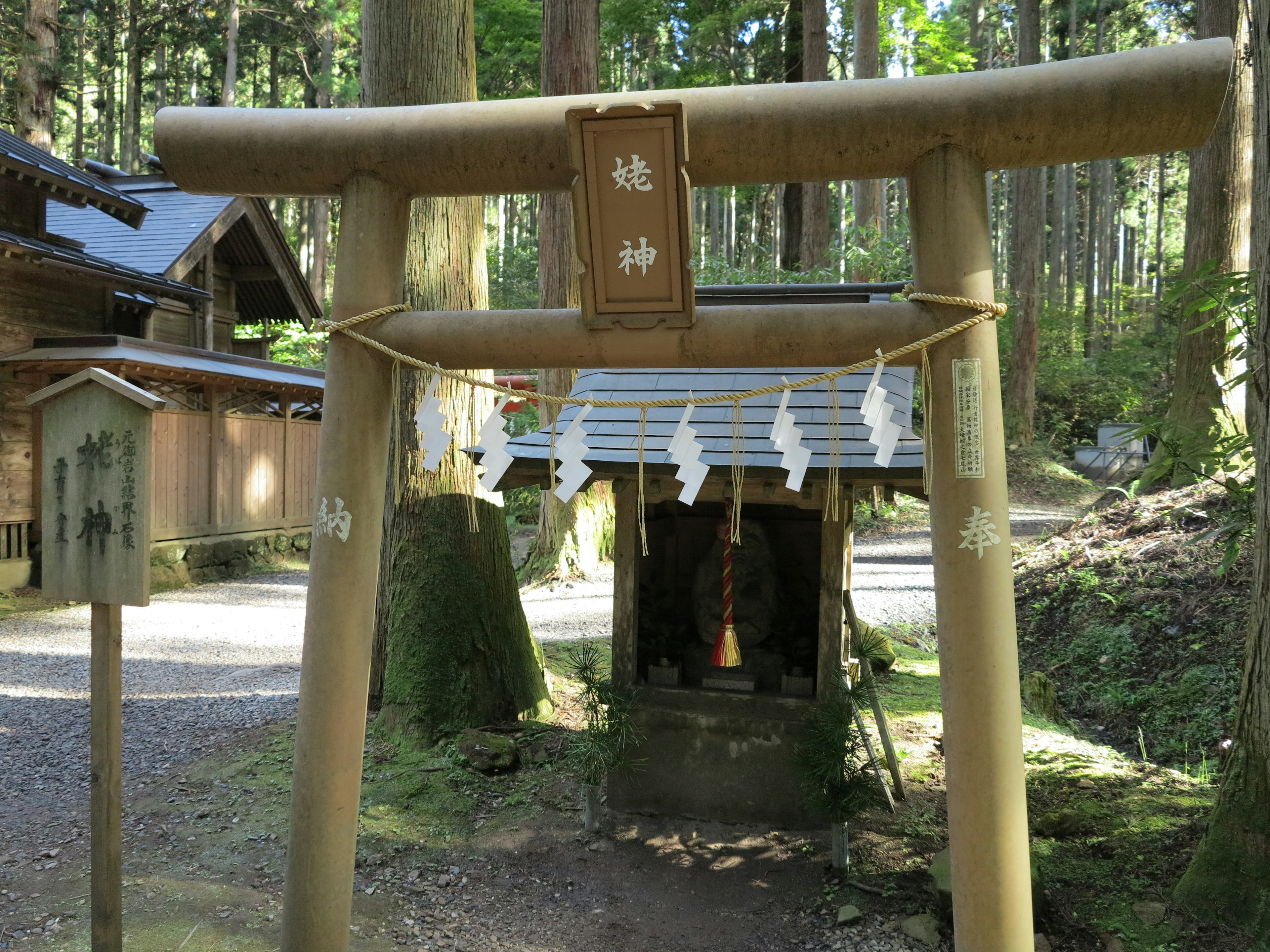 A torii gate leading to a small shrine in a forest setting