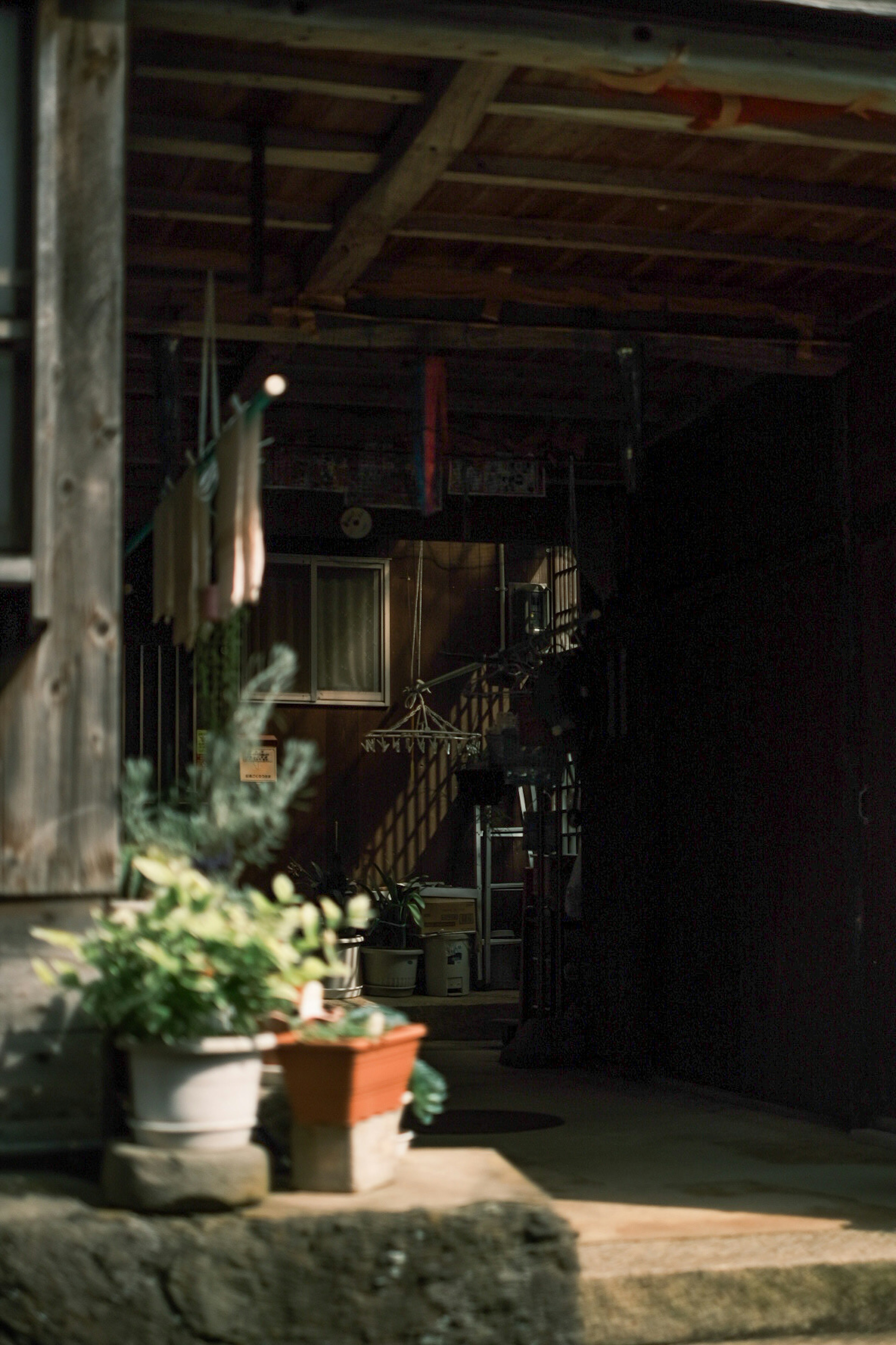 Entrée d'un vieux bâtiment avec des plantes et des objets décoratifs