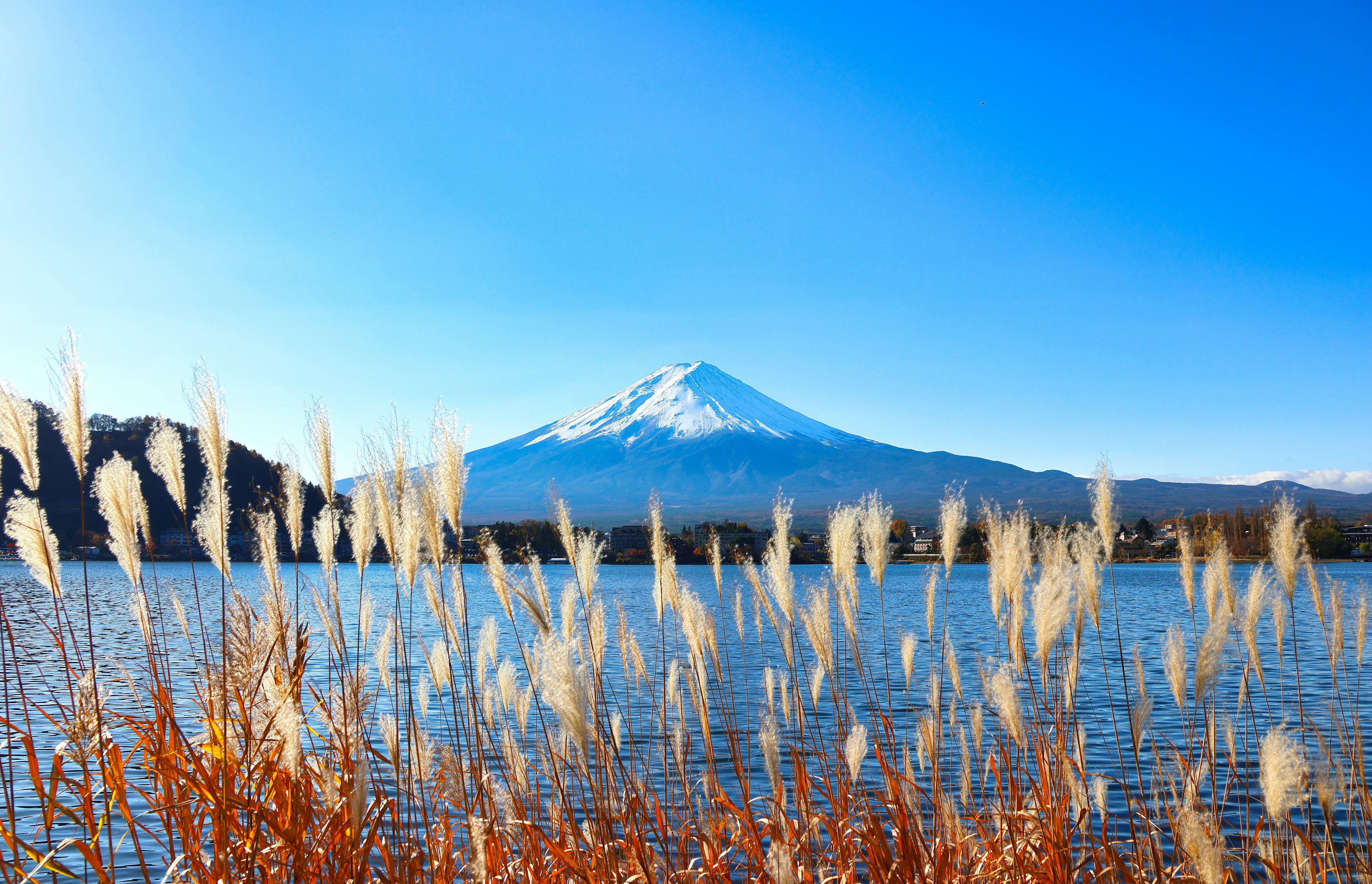 富士山与湖泊的风景，蓝天和白雪覆盖的山顶