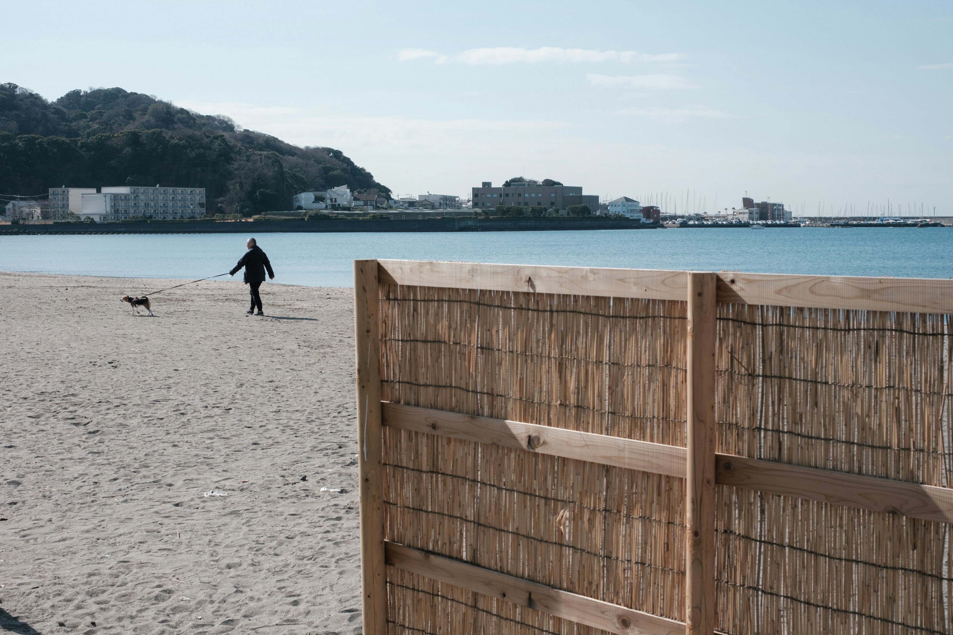 Una persona caminando con un perro en la playa con una barrera de madera en primer plano