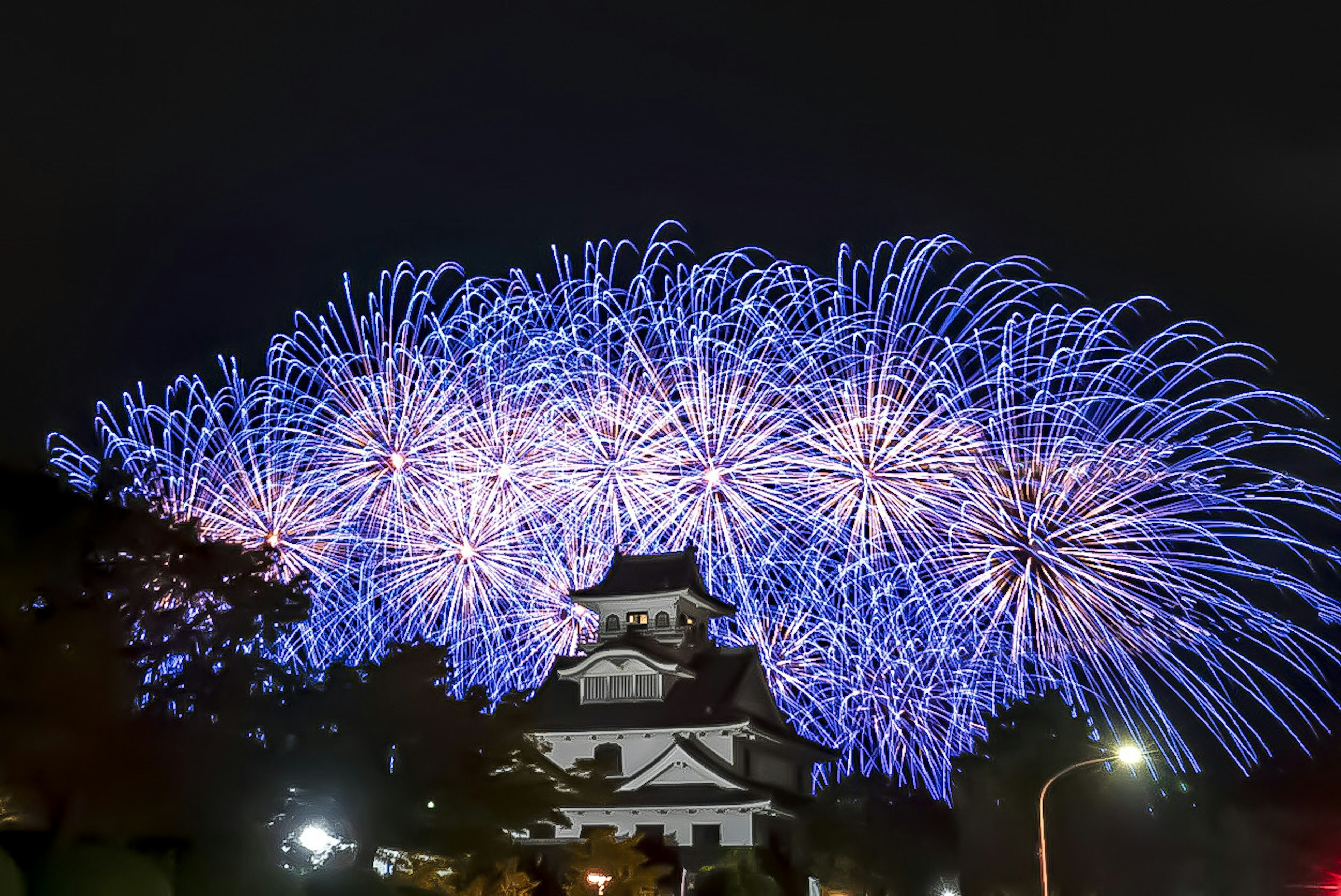 夜空に広がる青い花火と背景にある城の美しい景色