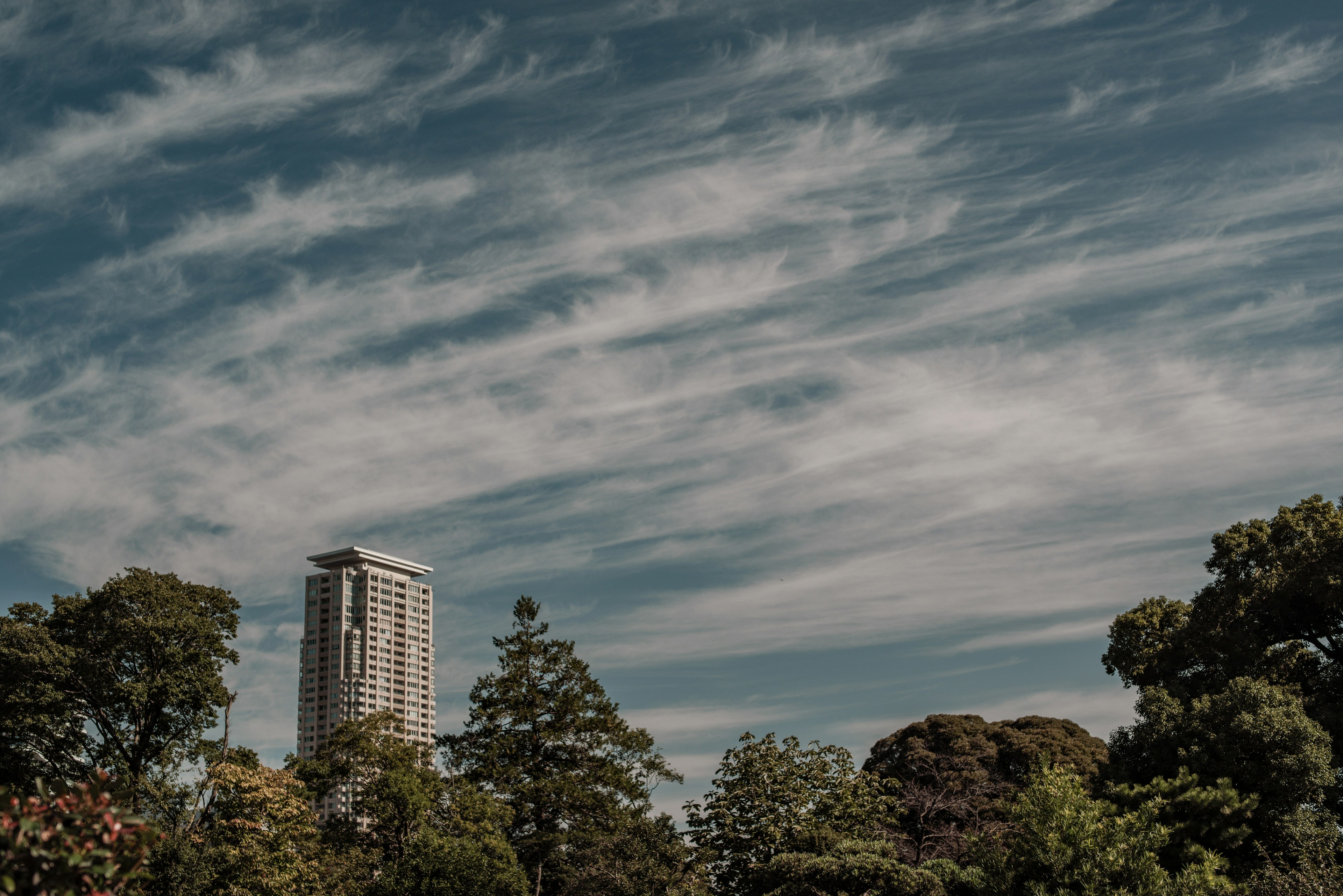 Skyline urbaine avec un bâtiment haut et des nuages épars