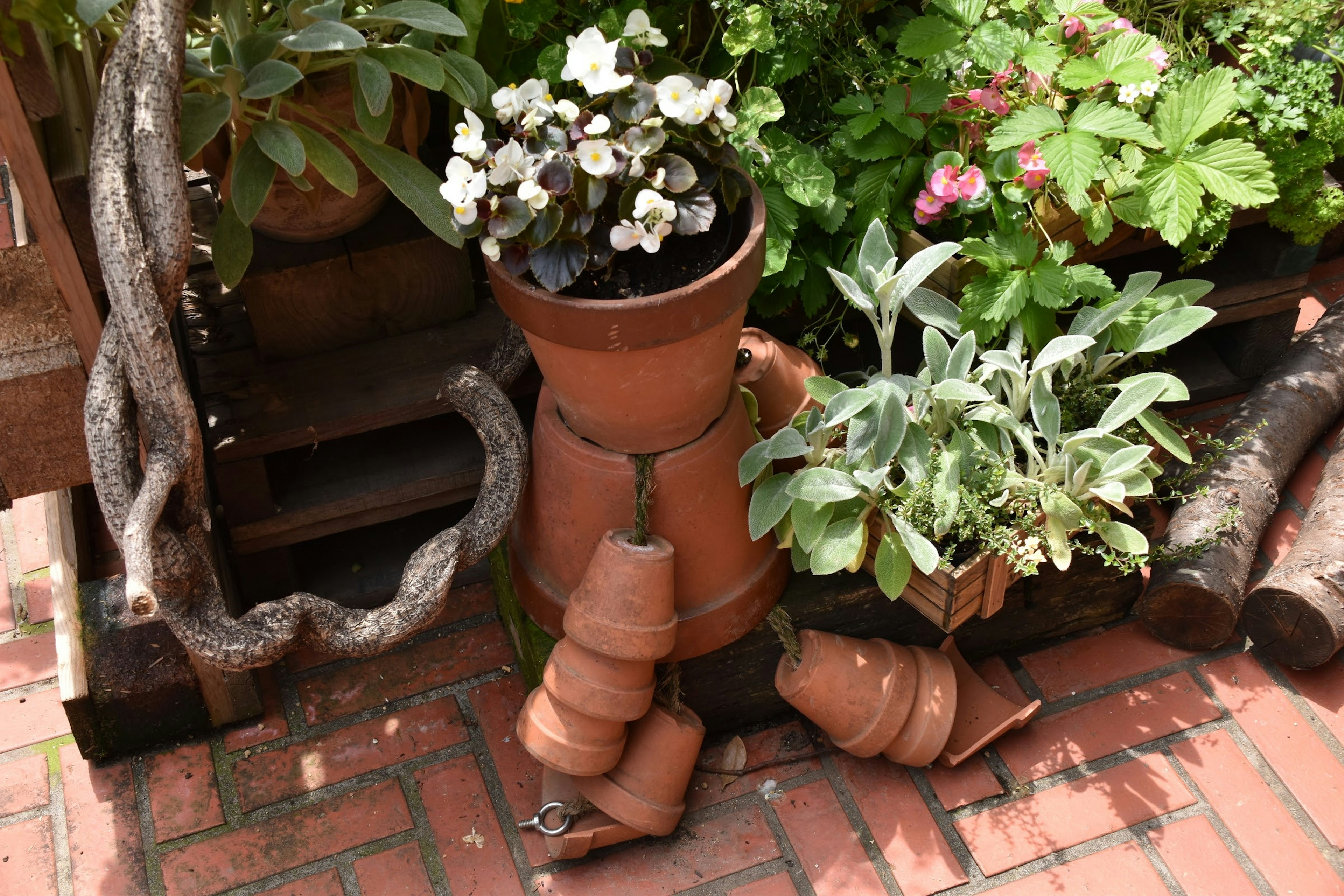 Terracotta pots with blooming flowers and green plants in a garden setting