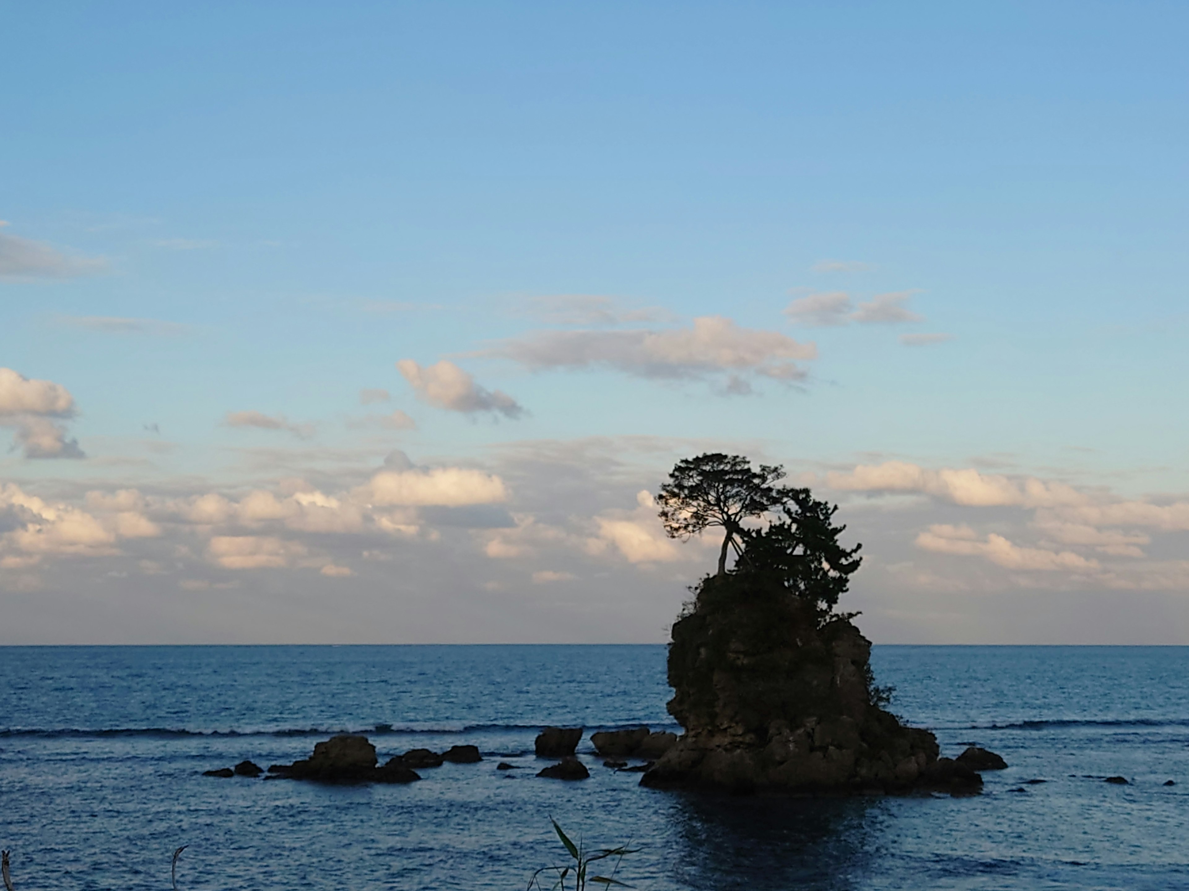 Small island with a tree standing on it in a blue sea