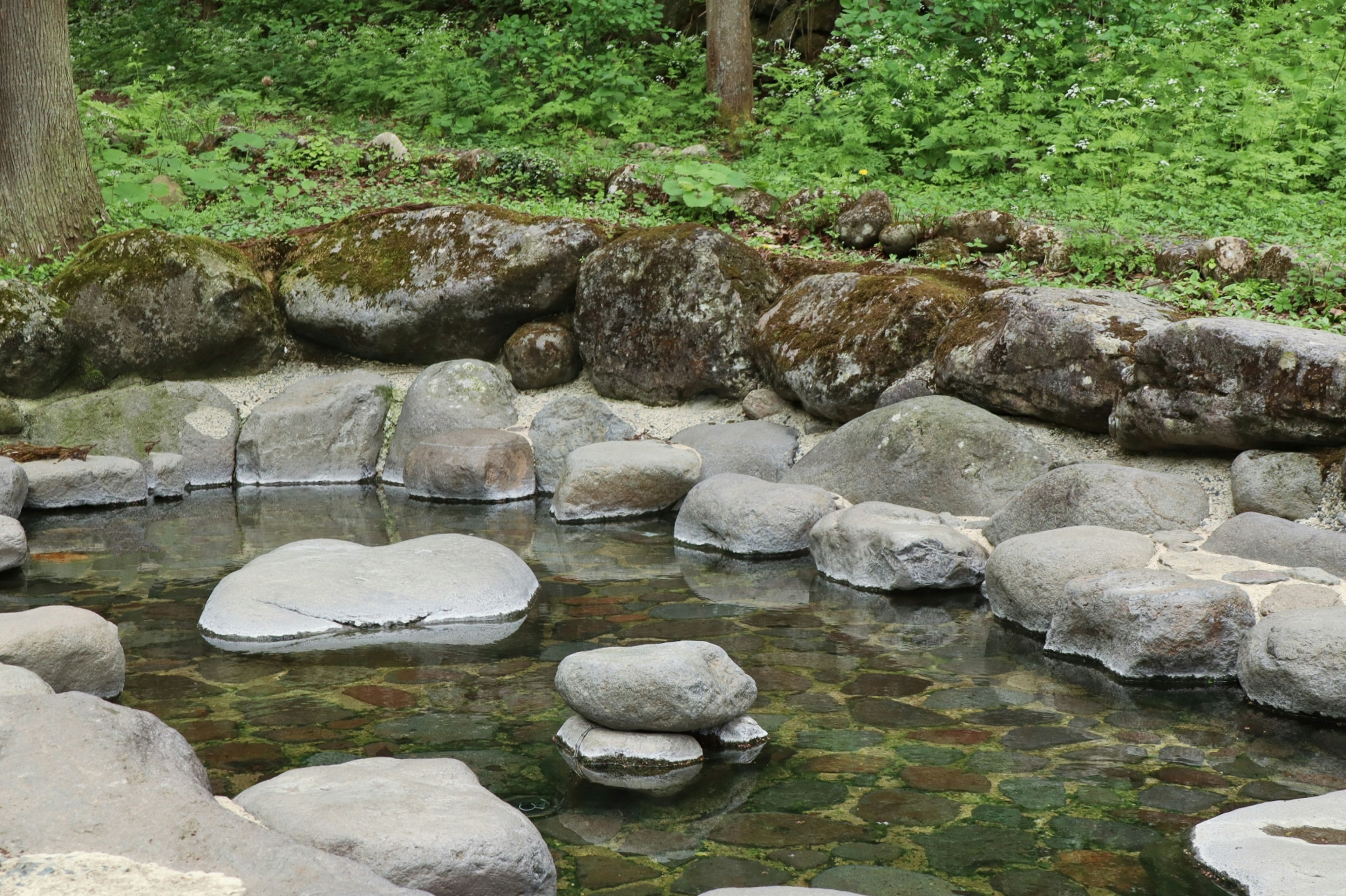 Kolam tenang dikelilingi batu dan tumbuhan hijau