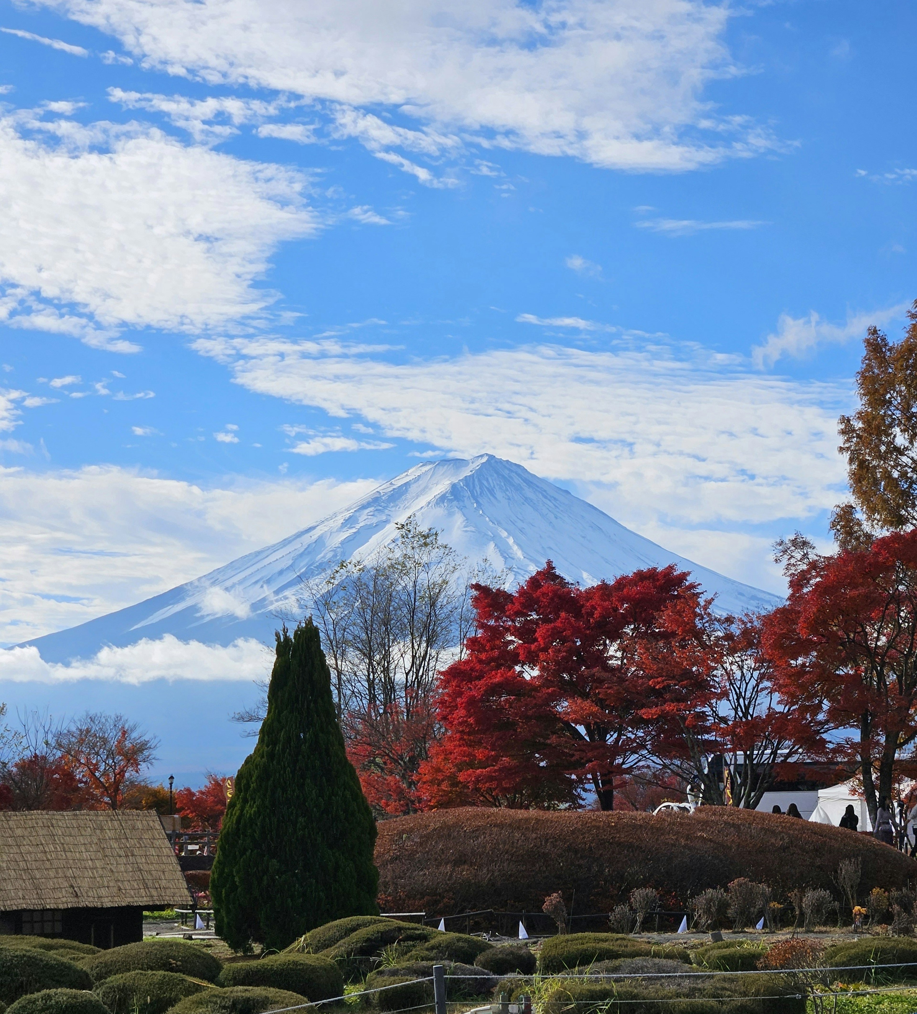 ทิวทัศน์ที่สวยงามพร้อมภูเขาฟูจิและใบไม้เปลี่ยนสีในฤดูใบไม้ร่วง