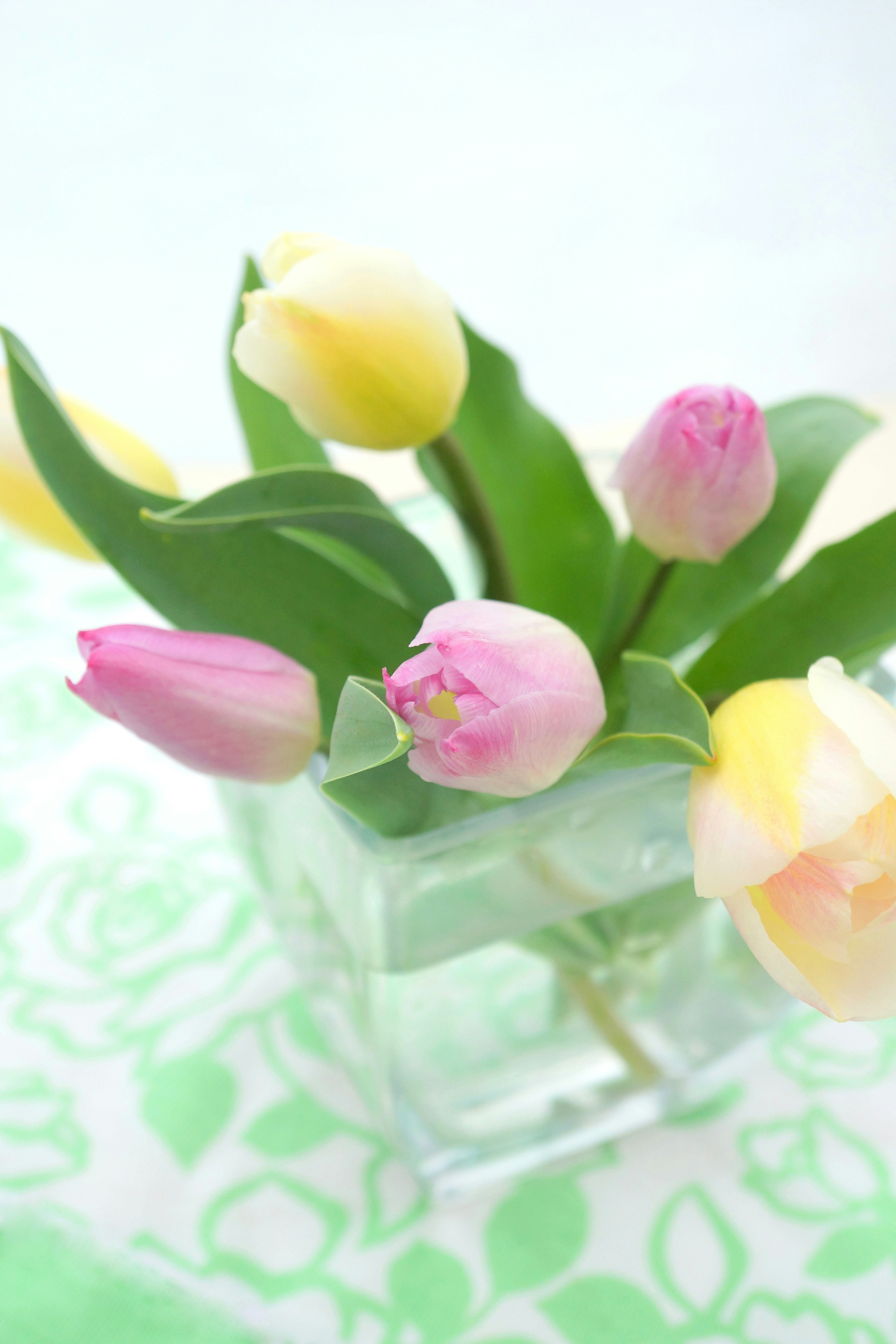 透明な花瓶に入ったピンクと黄色のチューリップの花束 緑の葉と背景が特徴