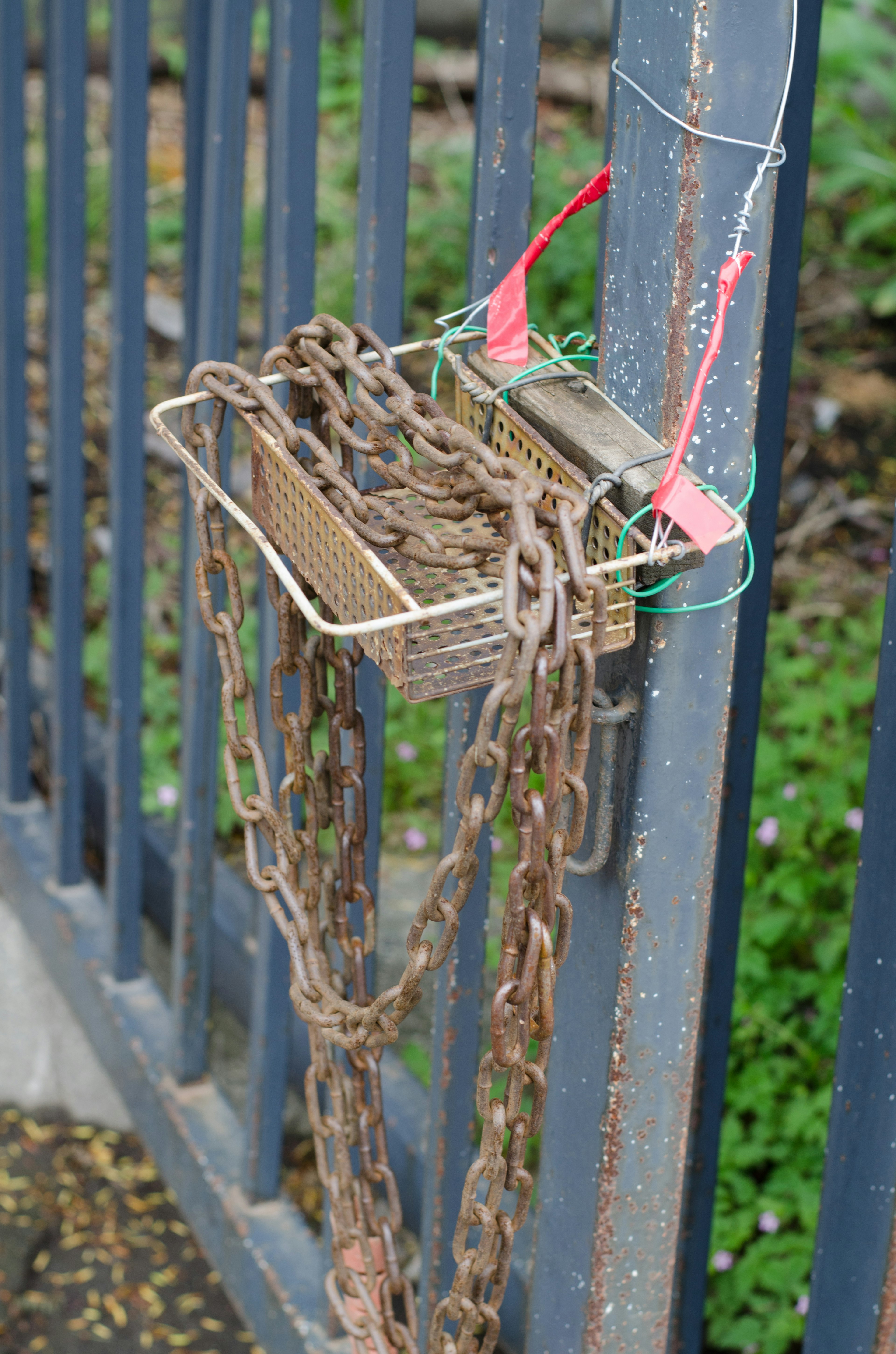 Rusty chains hanging from a metal fence section