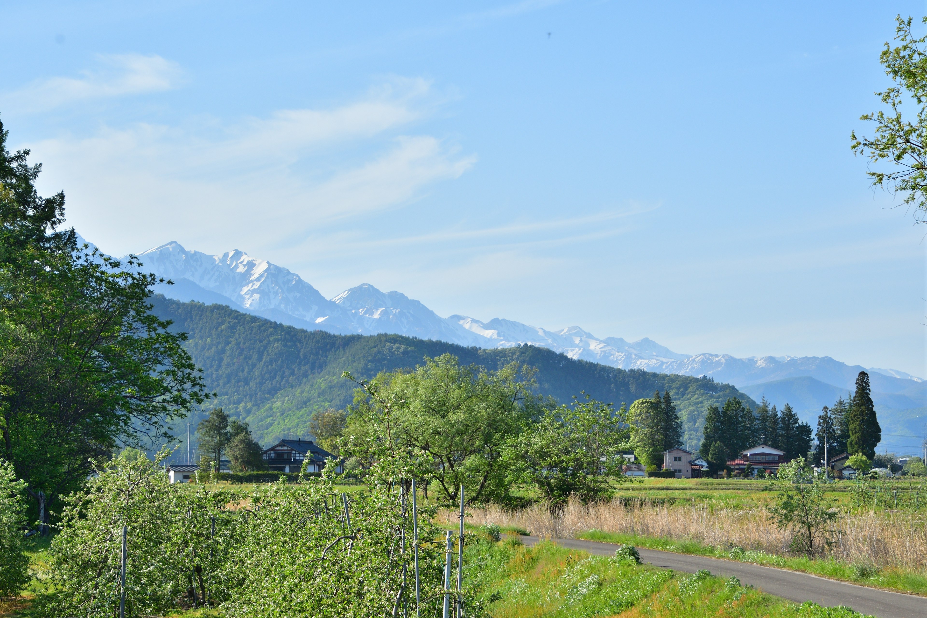 Vue panoramique de montagnes enneigées sous un ciel bleu avec des arbres verts et des champs