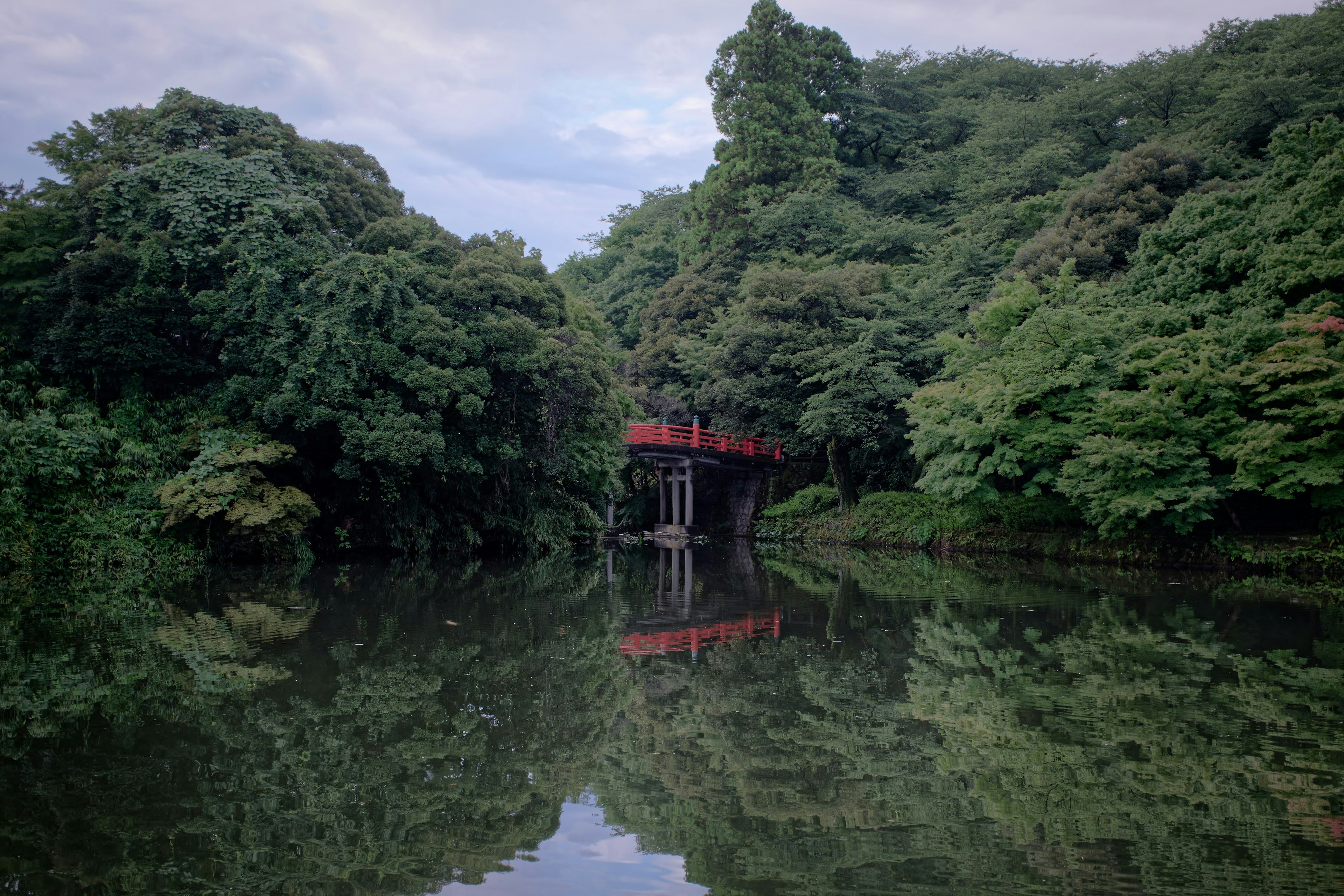 Roter Brücke, die sich in einem ruhigen Teich spiegelt, umgeben von üppigem Grün