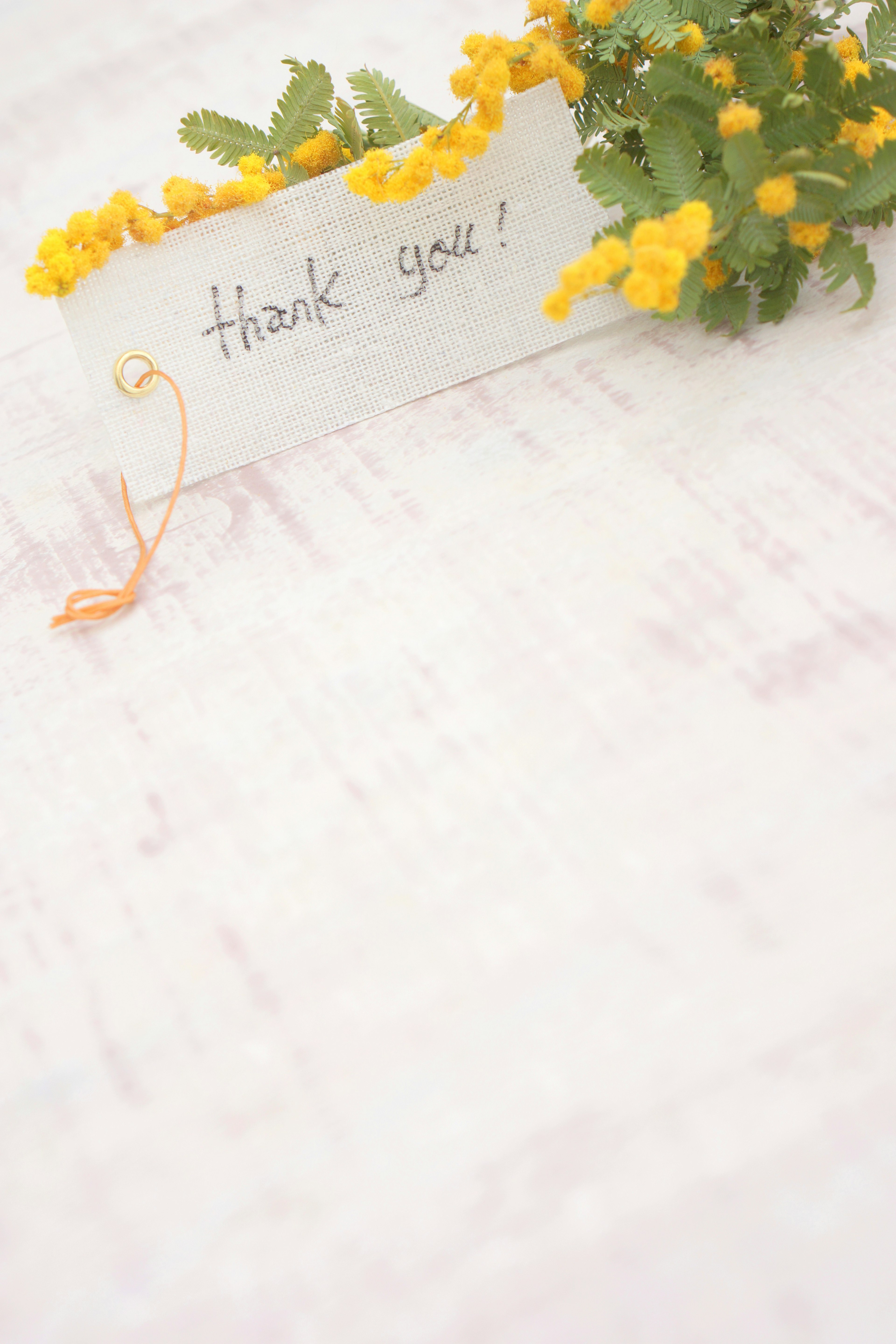 A card with the message thank you surrounded by yellow flowers