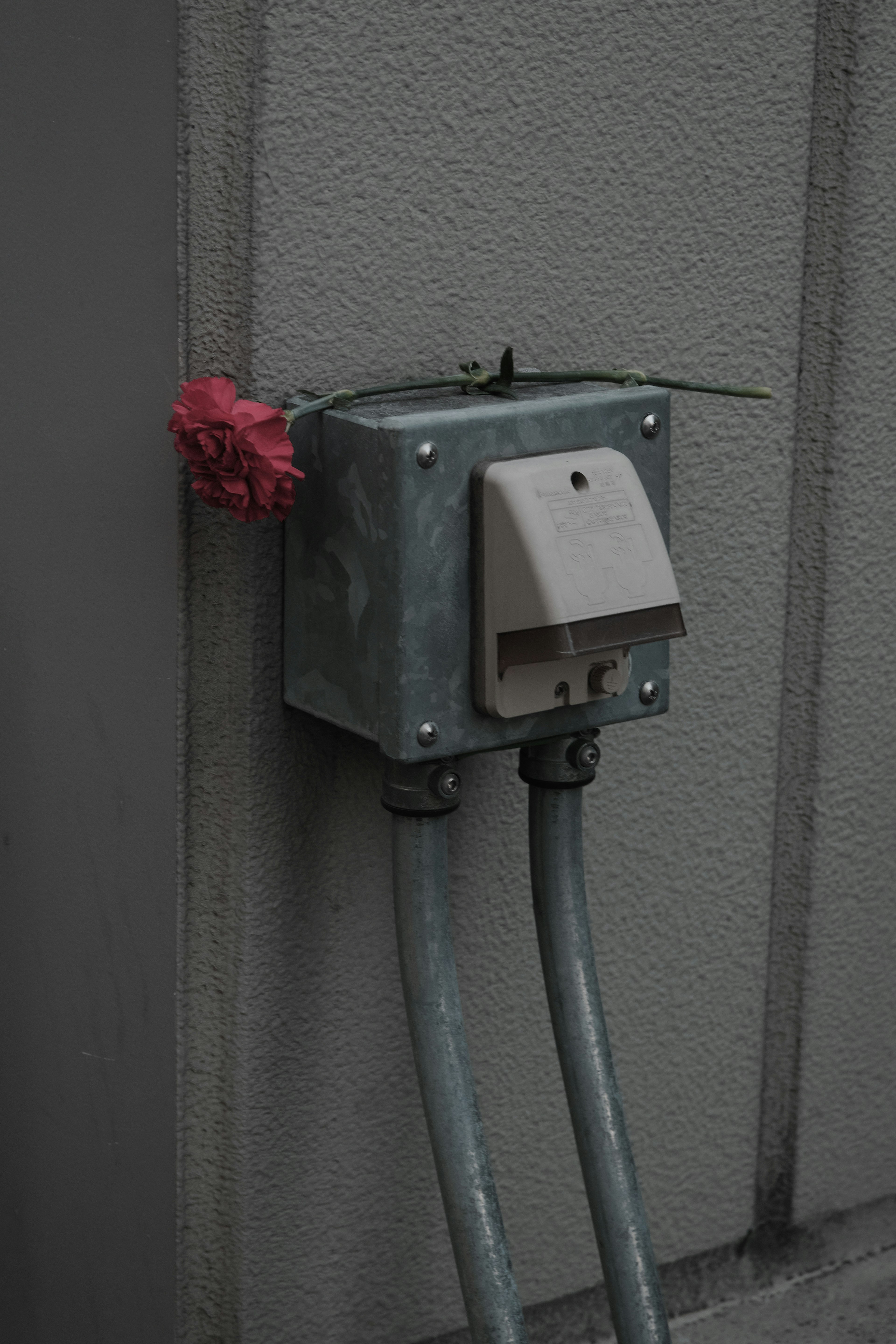 Metal box mounted on a wall with two pipes and a red flower growing beside it